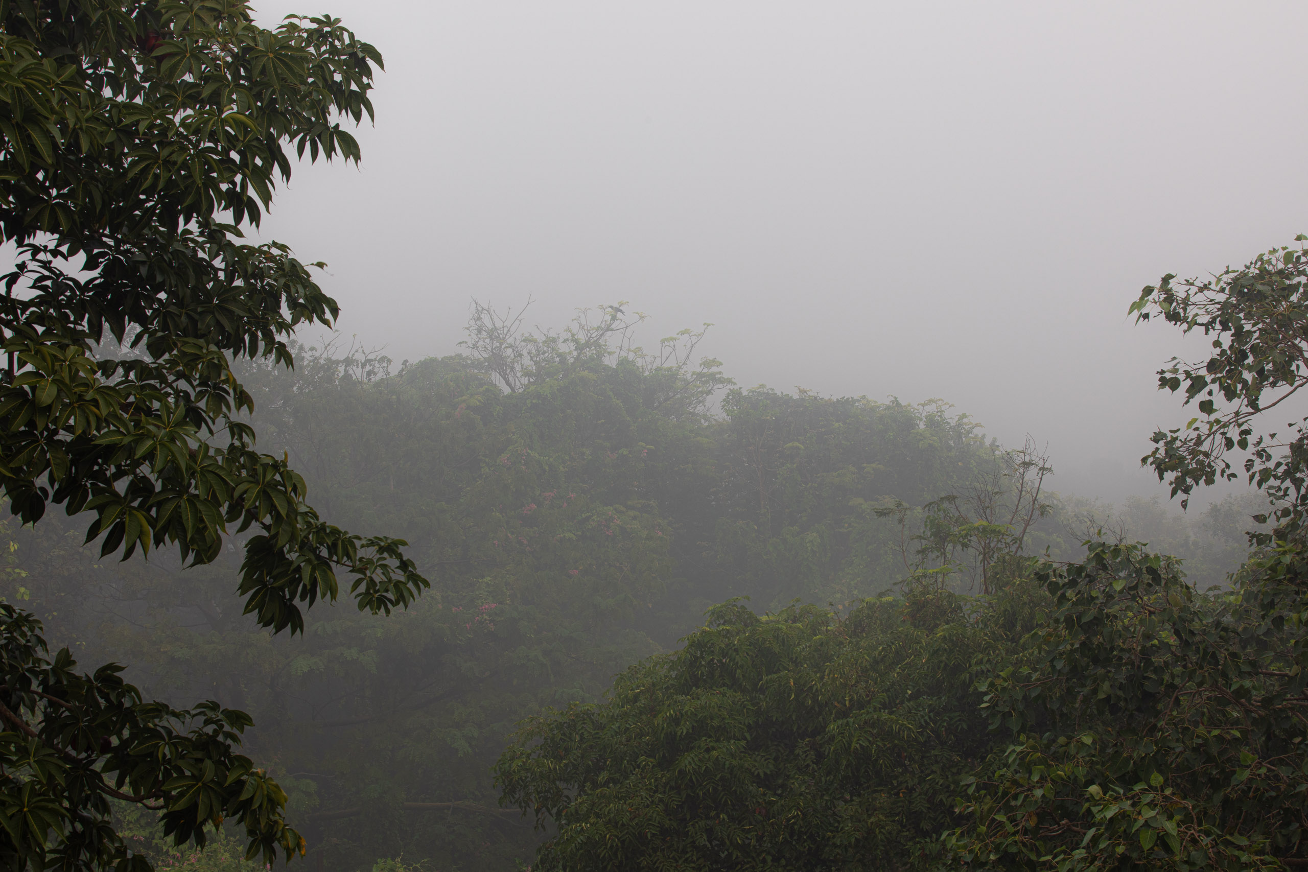 20240114070530 RD4 9579