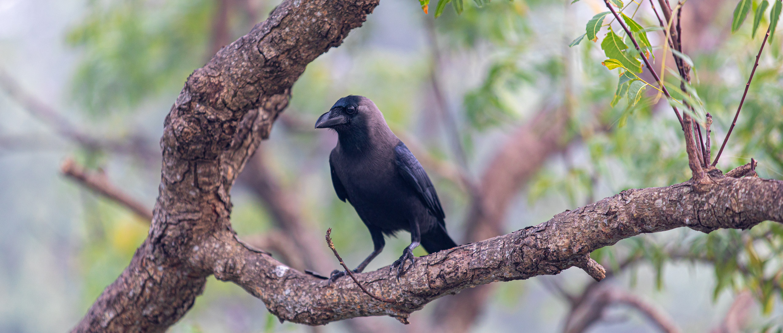 20240114070750 RD4 9598