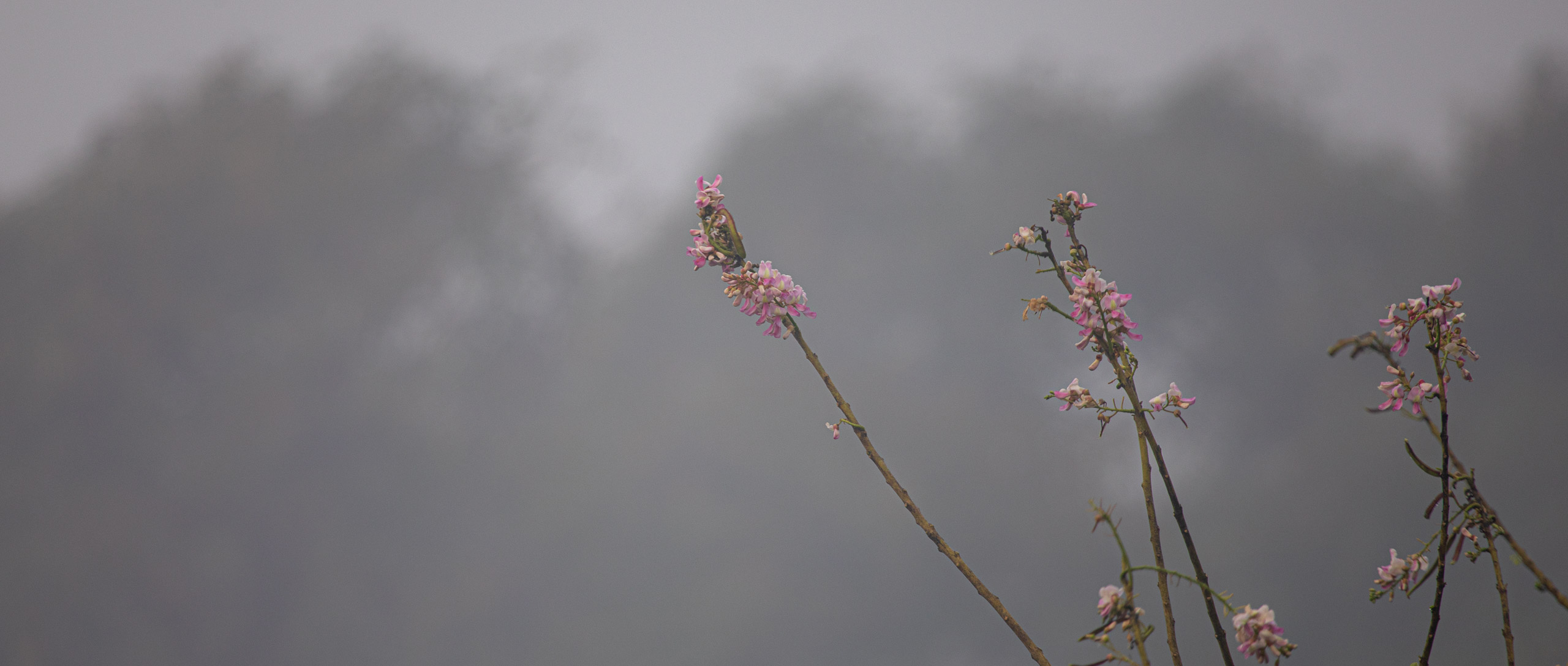 20240114071215 RD4 9606