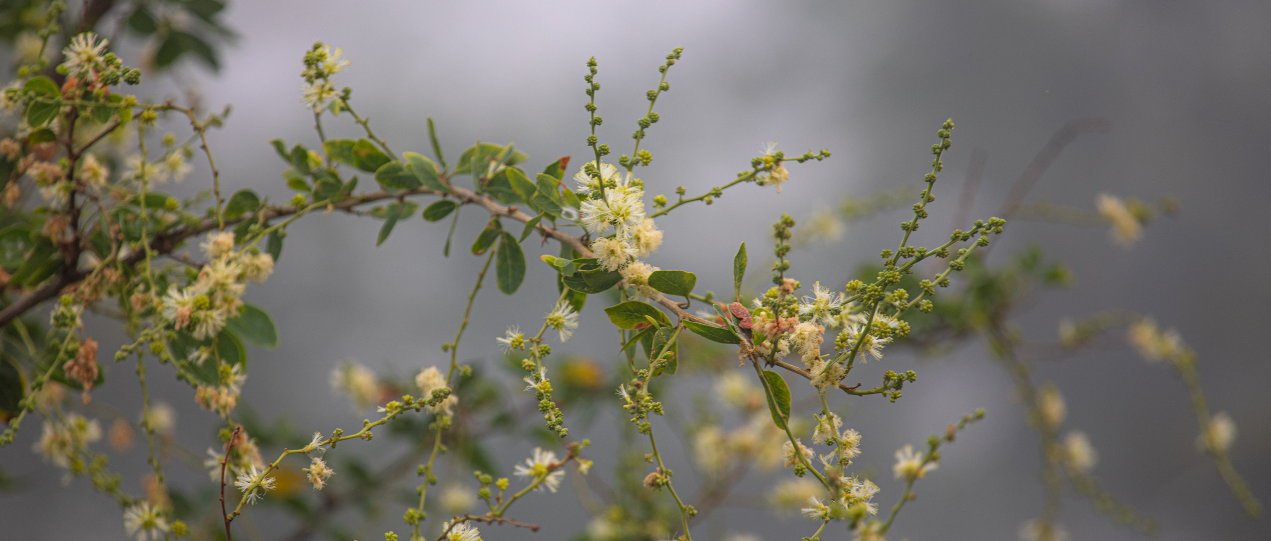 20240114071230 RD4 9608