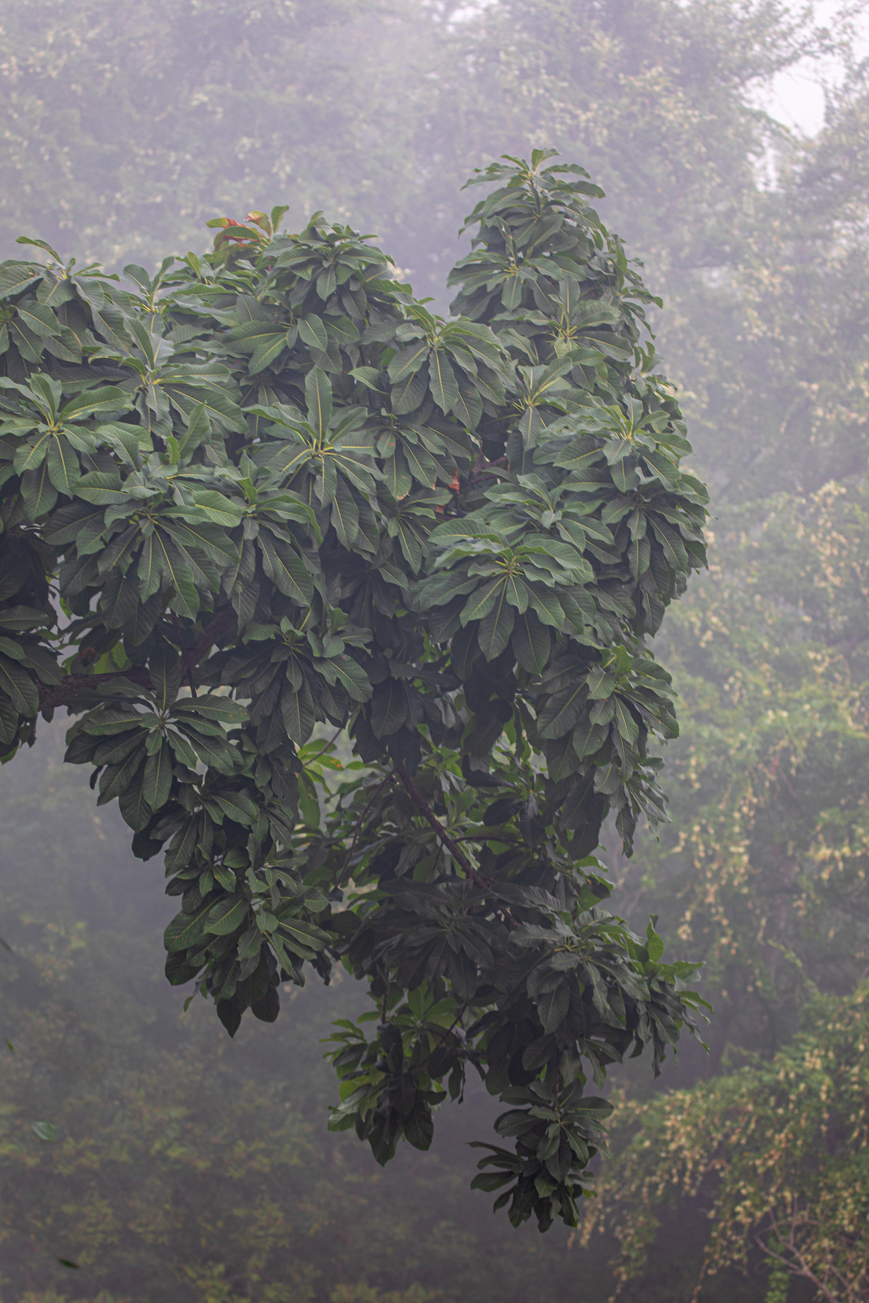 20240114071429 RD4 9611