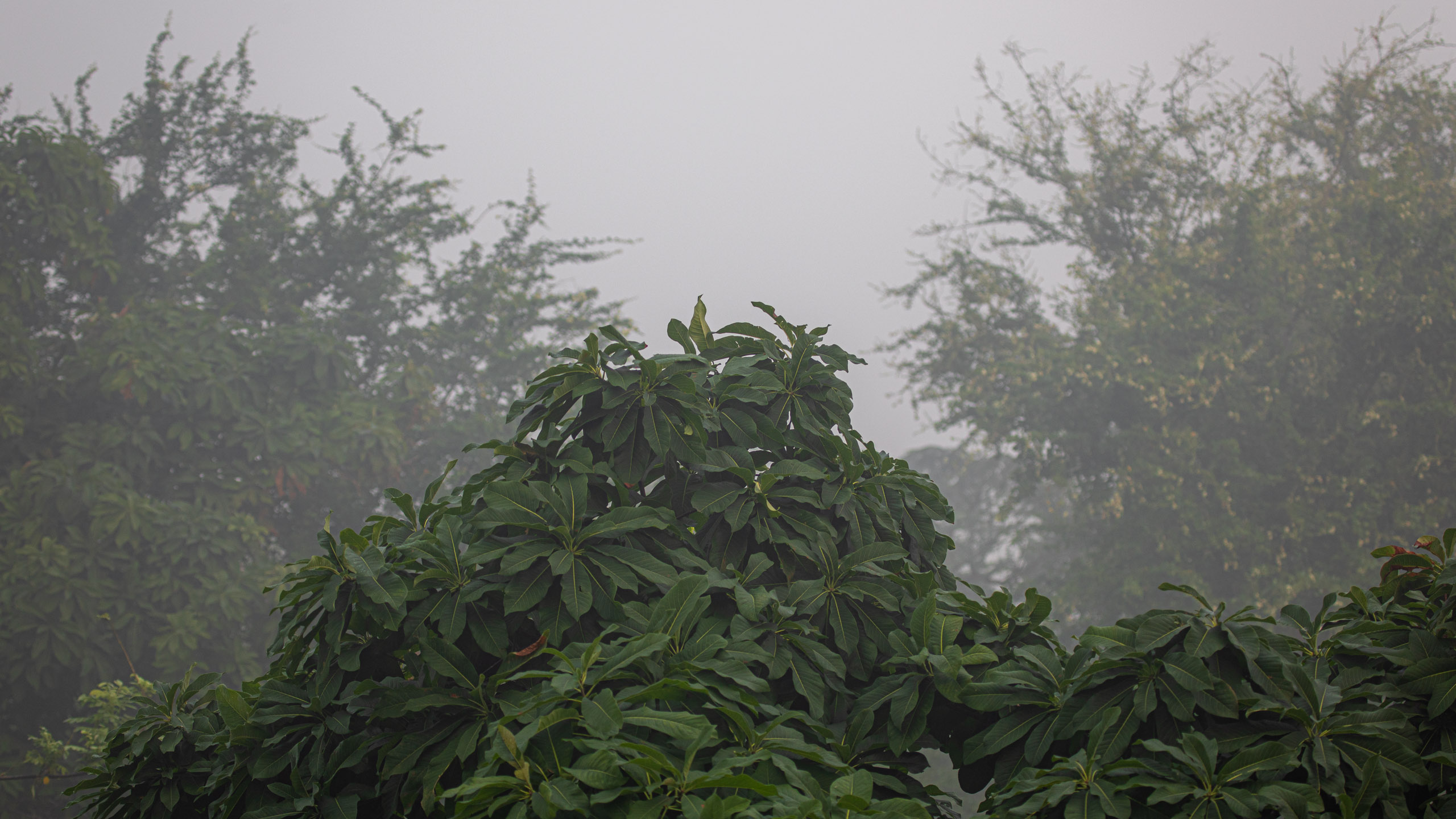 20240114071439 RD4 9613