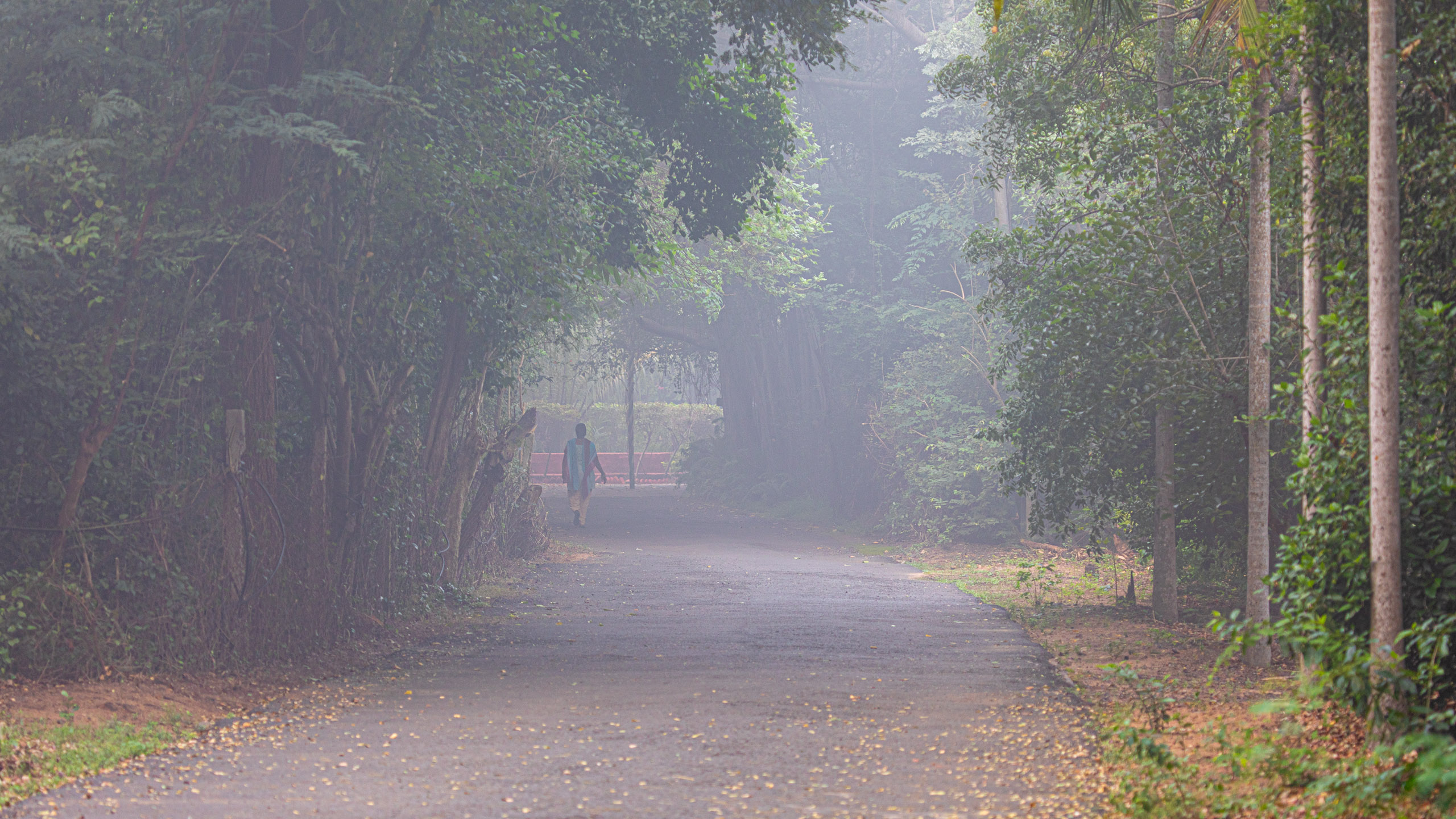 20240114081506 RD4 9617