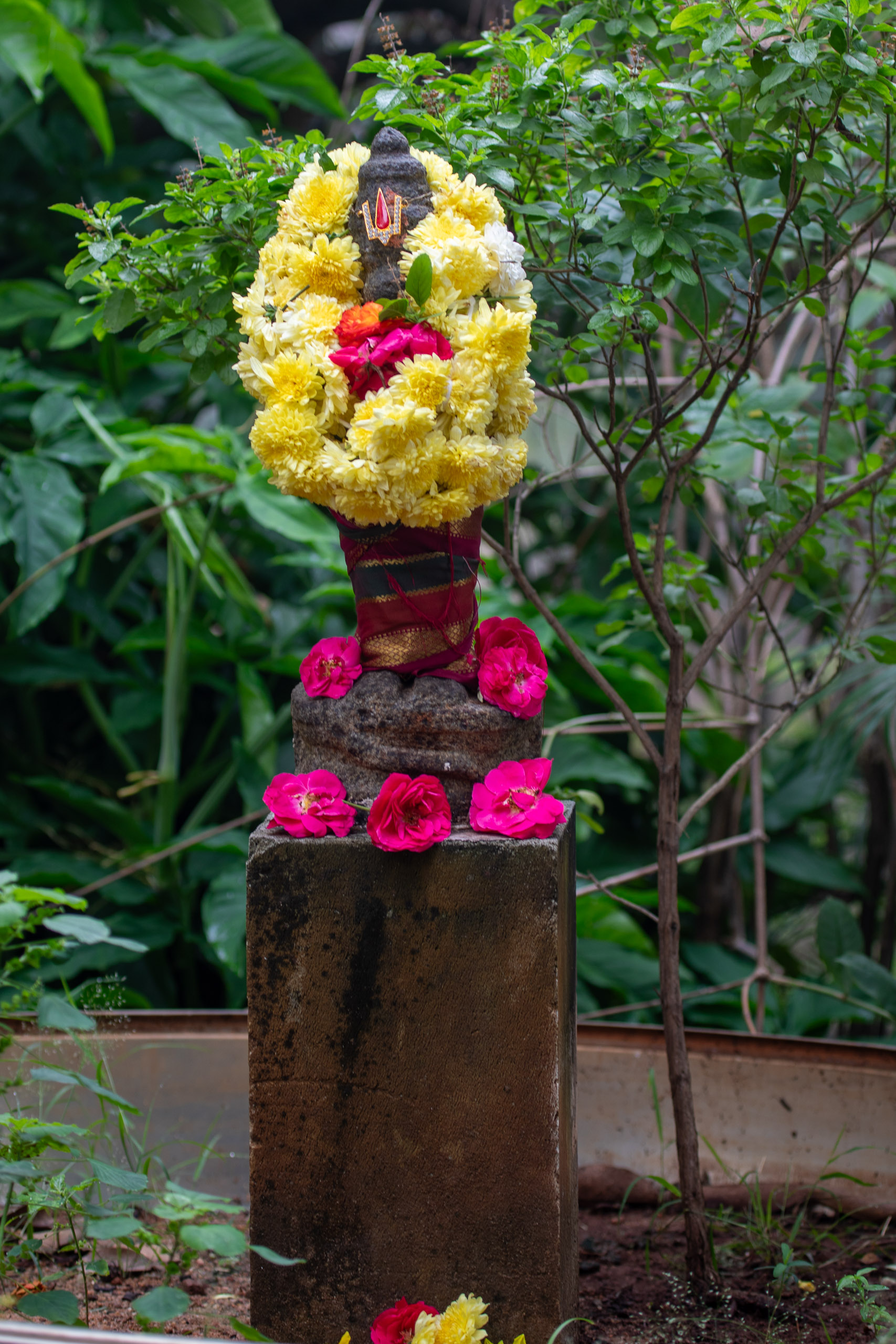 20240114082441 RD4 9638