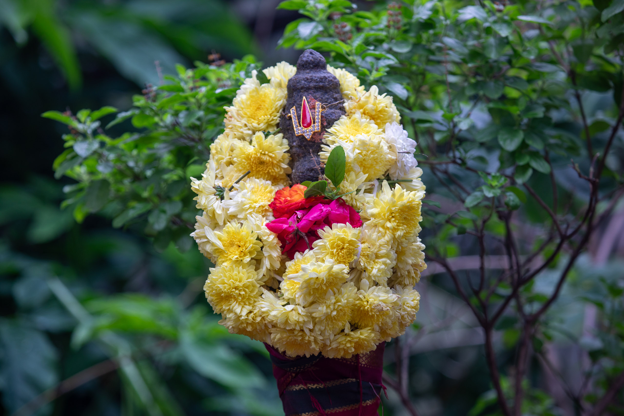 20240114082446 RD4 9639