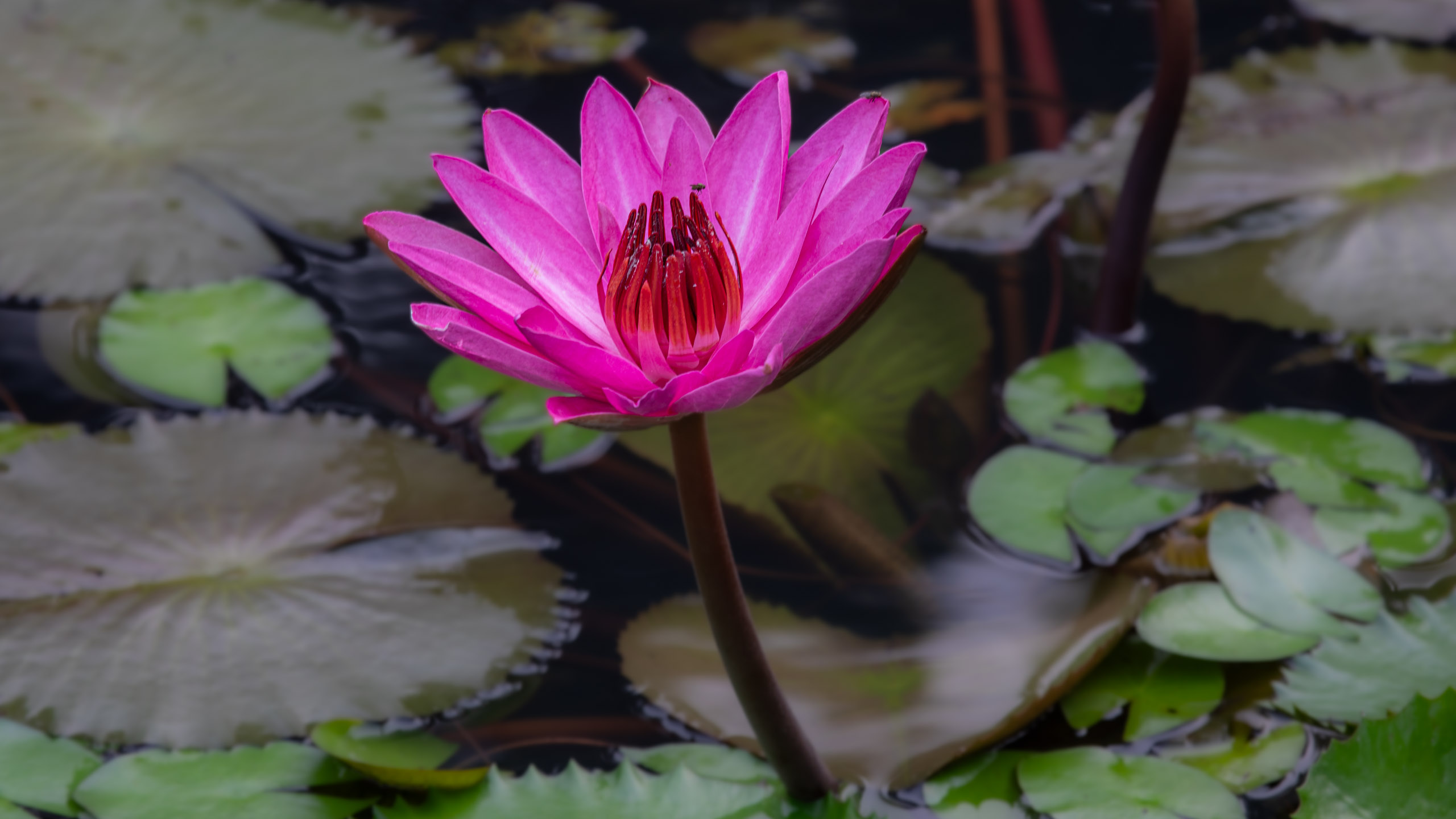 20240114083020 RD4 9645