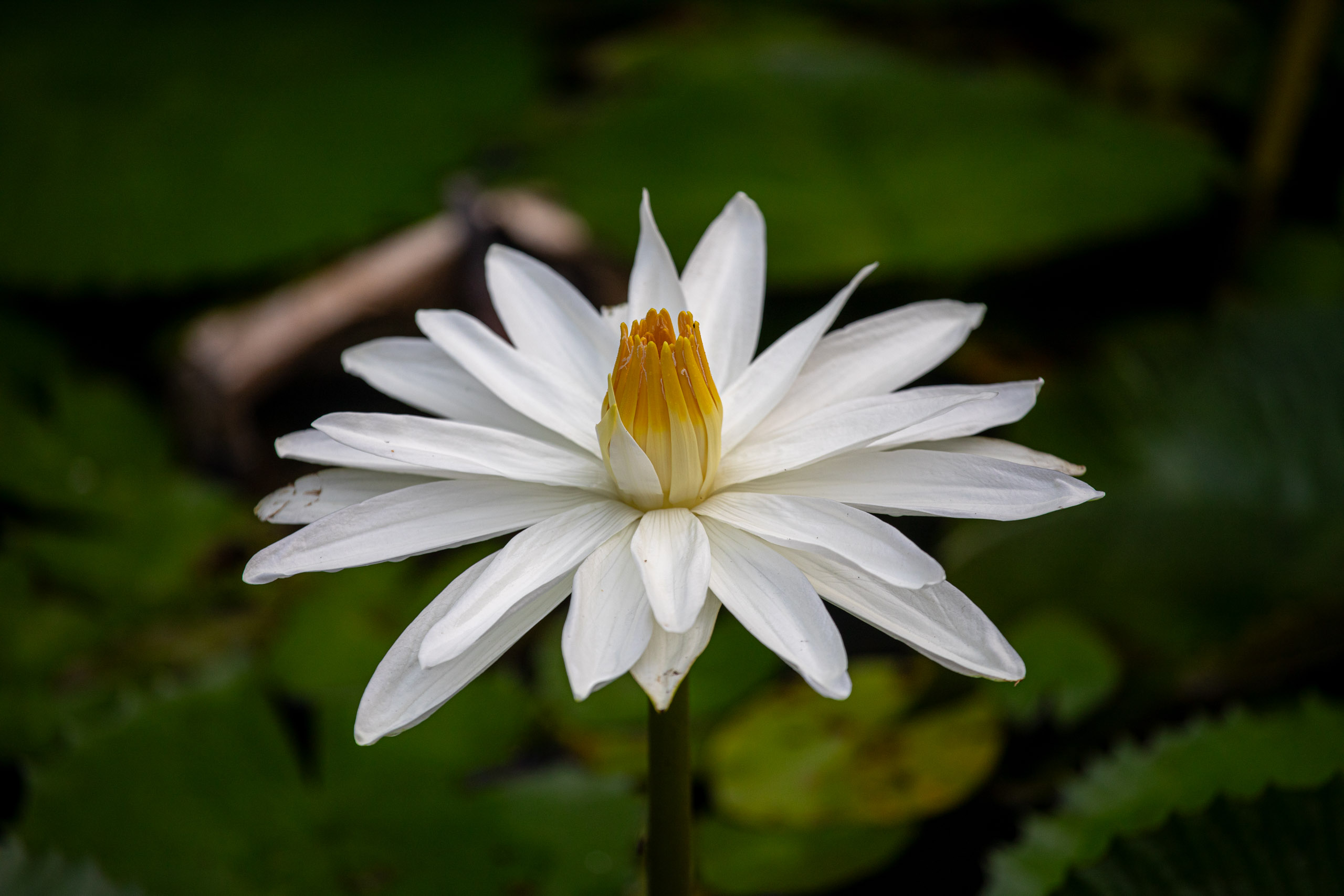 20240114083058 RD4 9653