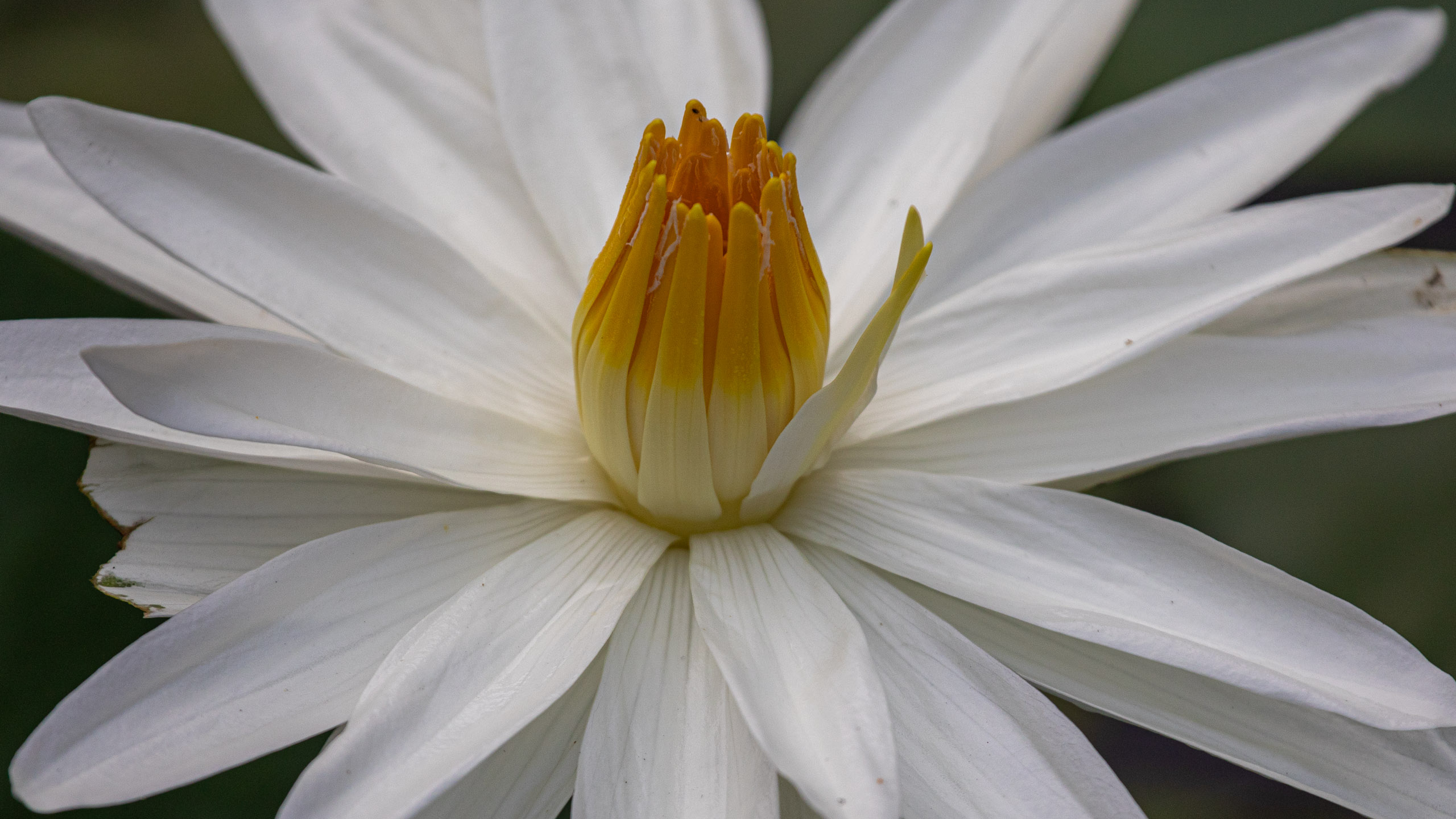 20240114083127 RD4 9659