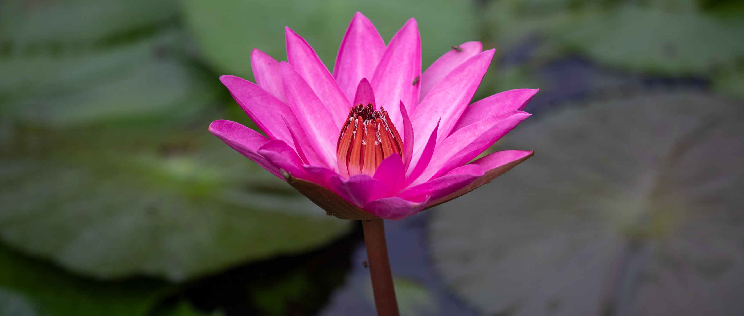 20240114083150 RD4 9664