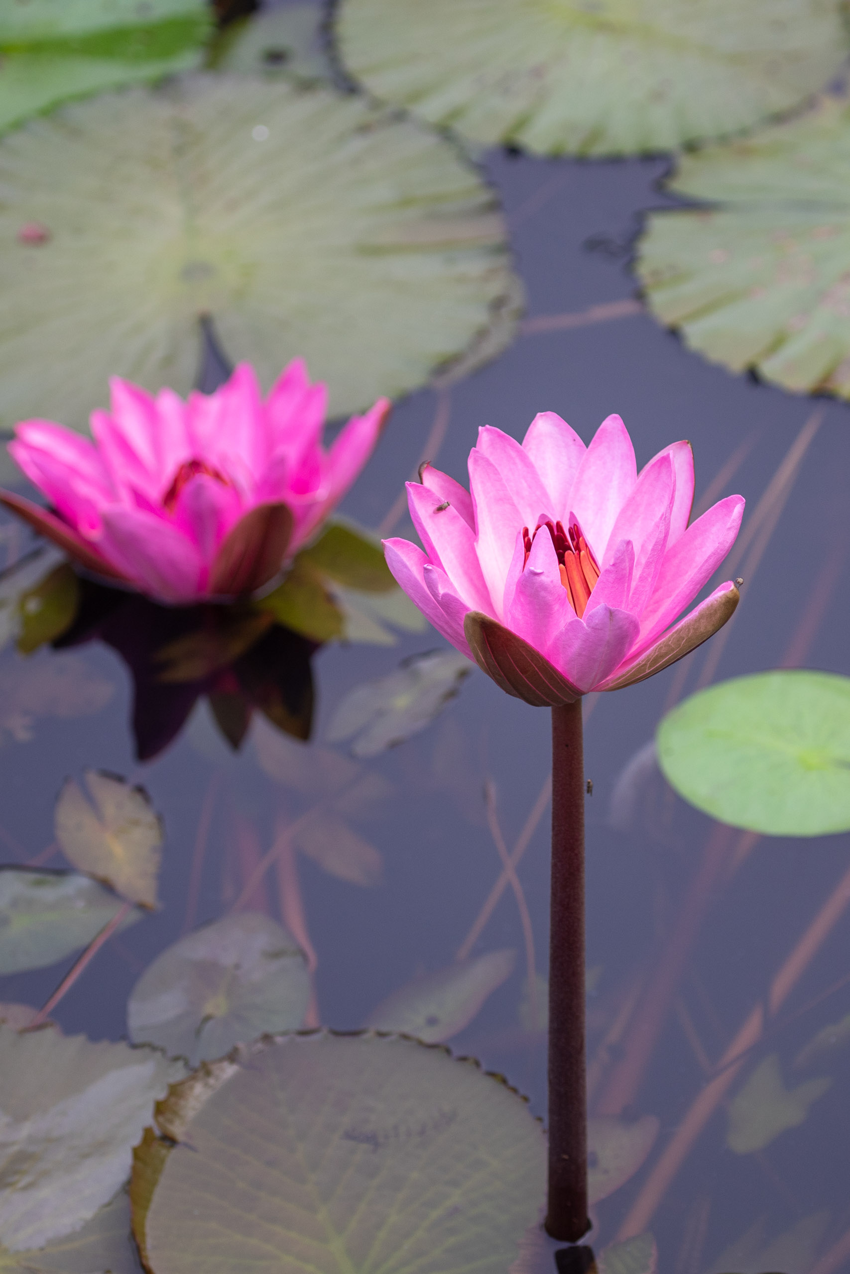 20240114083211 RD4 9666