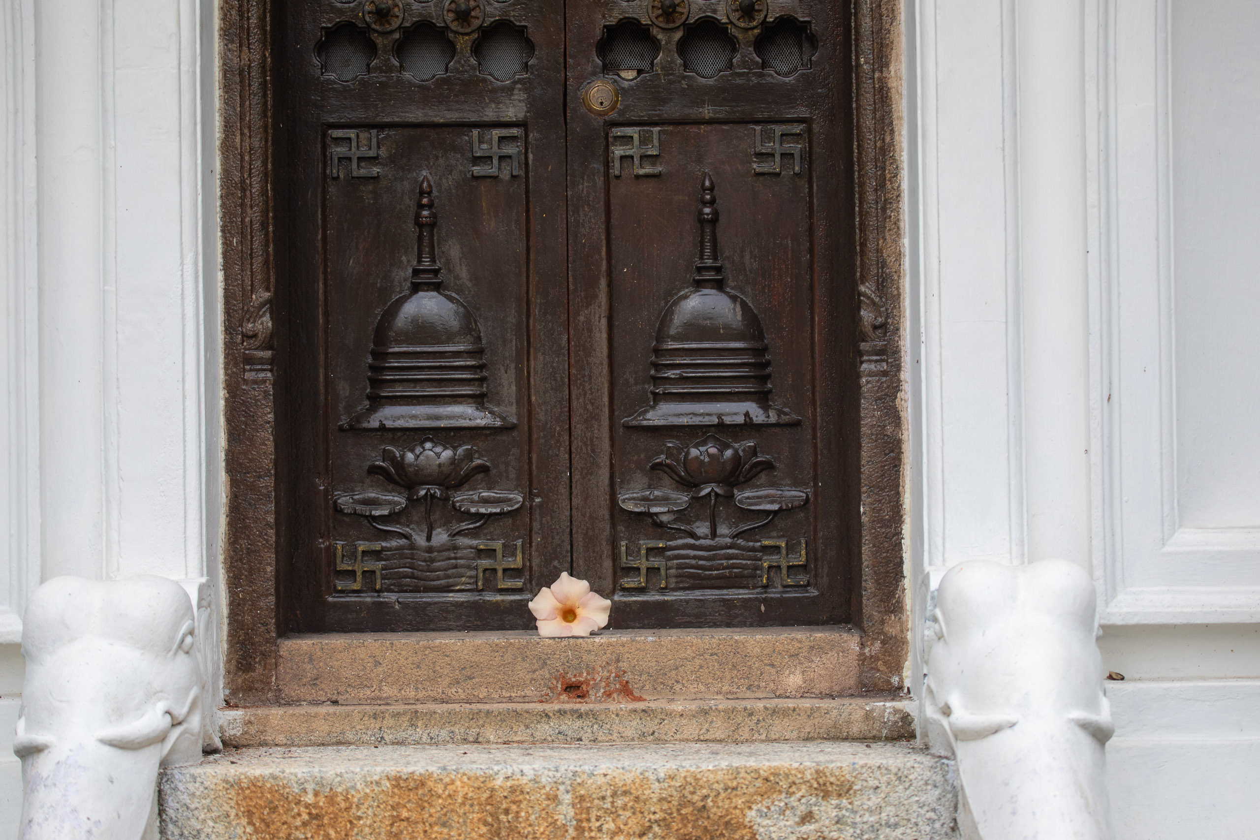 20240114083245 RD4 9670