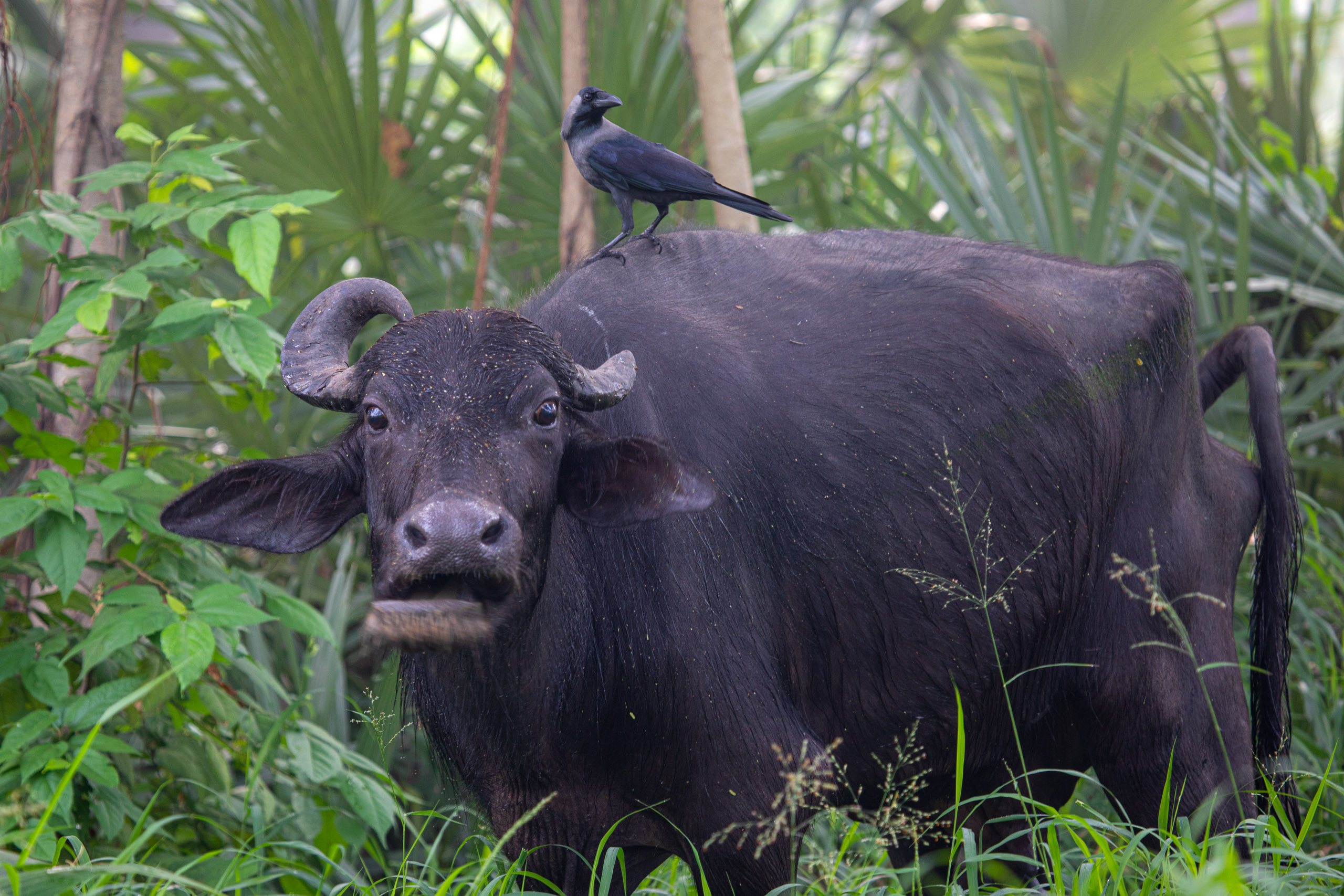 20240114083342 RD4 9676