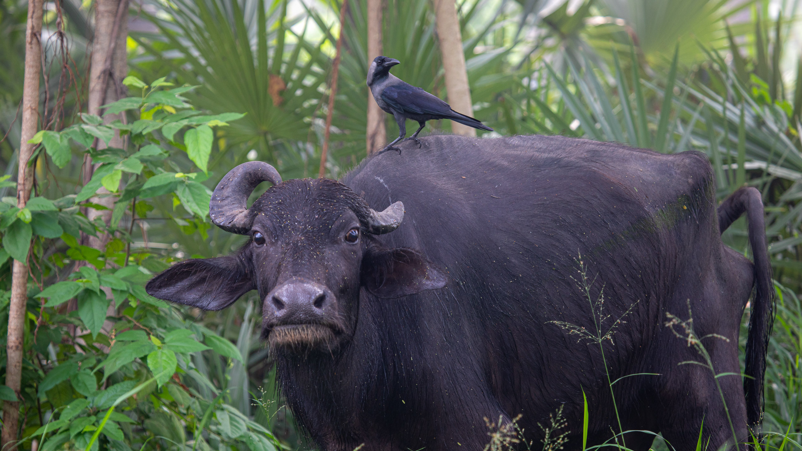 20240114083343 RD4 9677