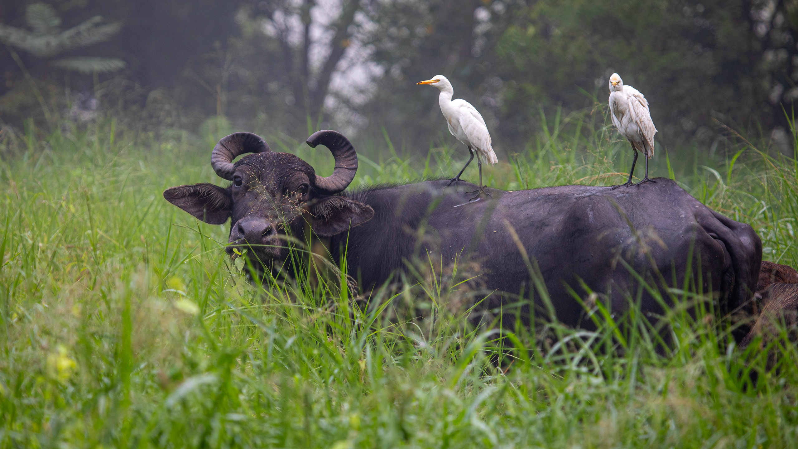 20240114083359 RD4 9682