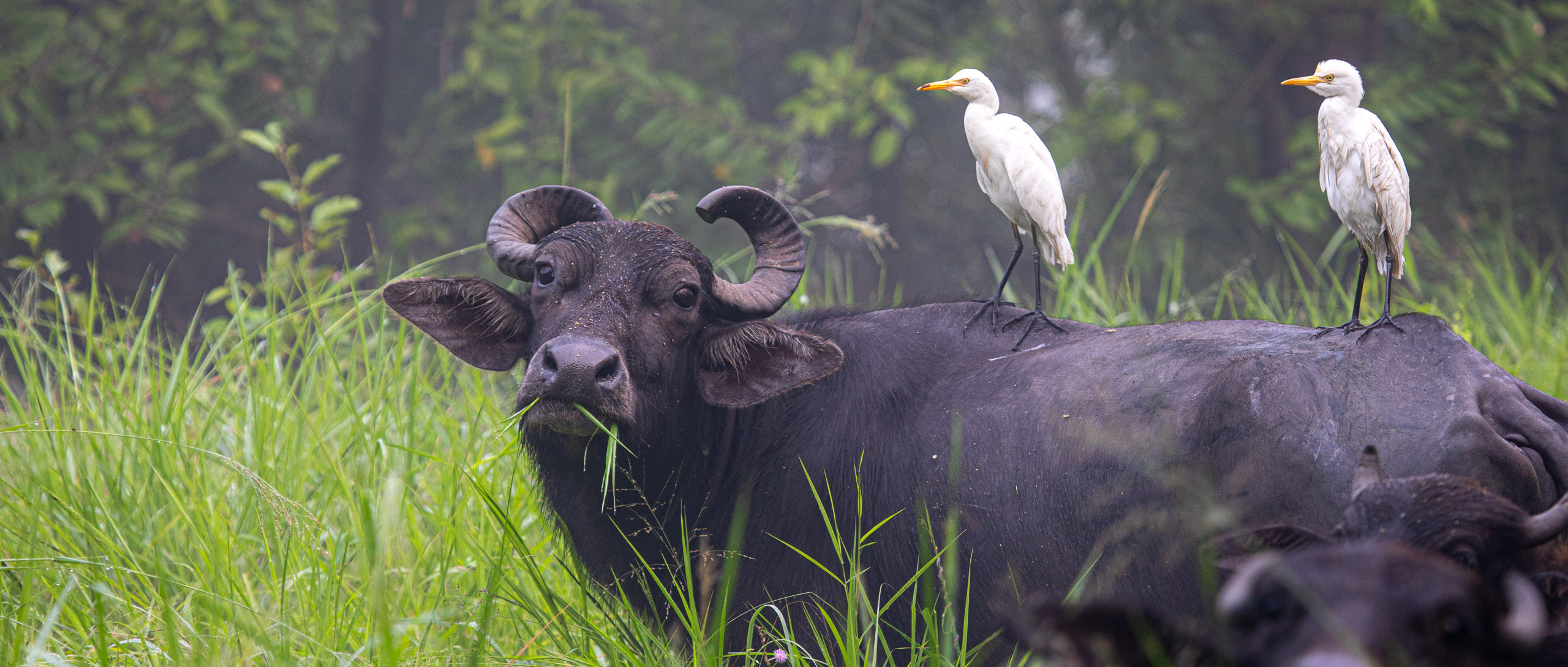 20240114083414 RD4 9693