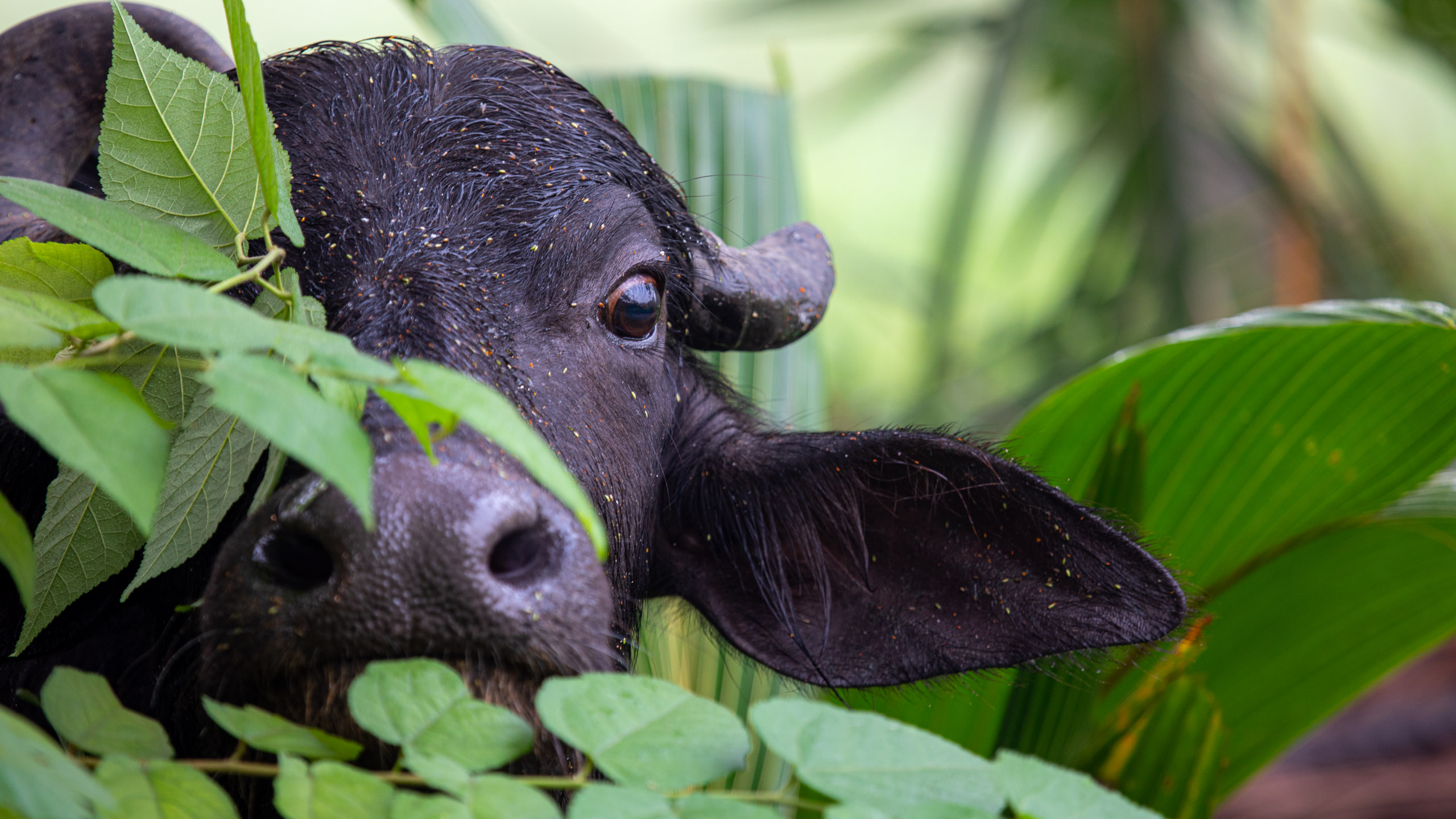 20240114083422 RD4 9694