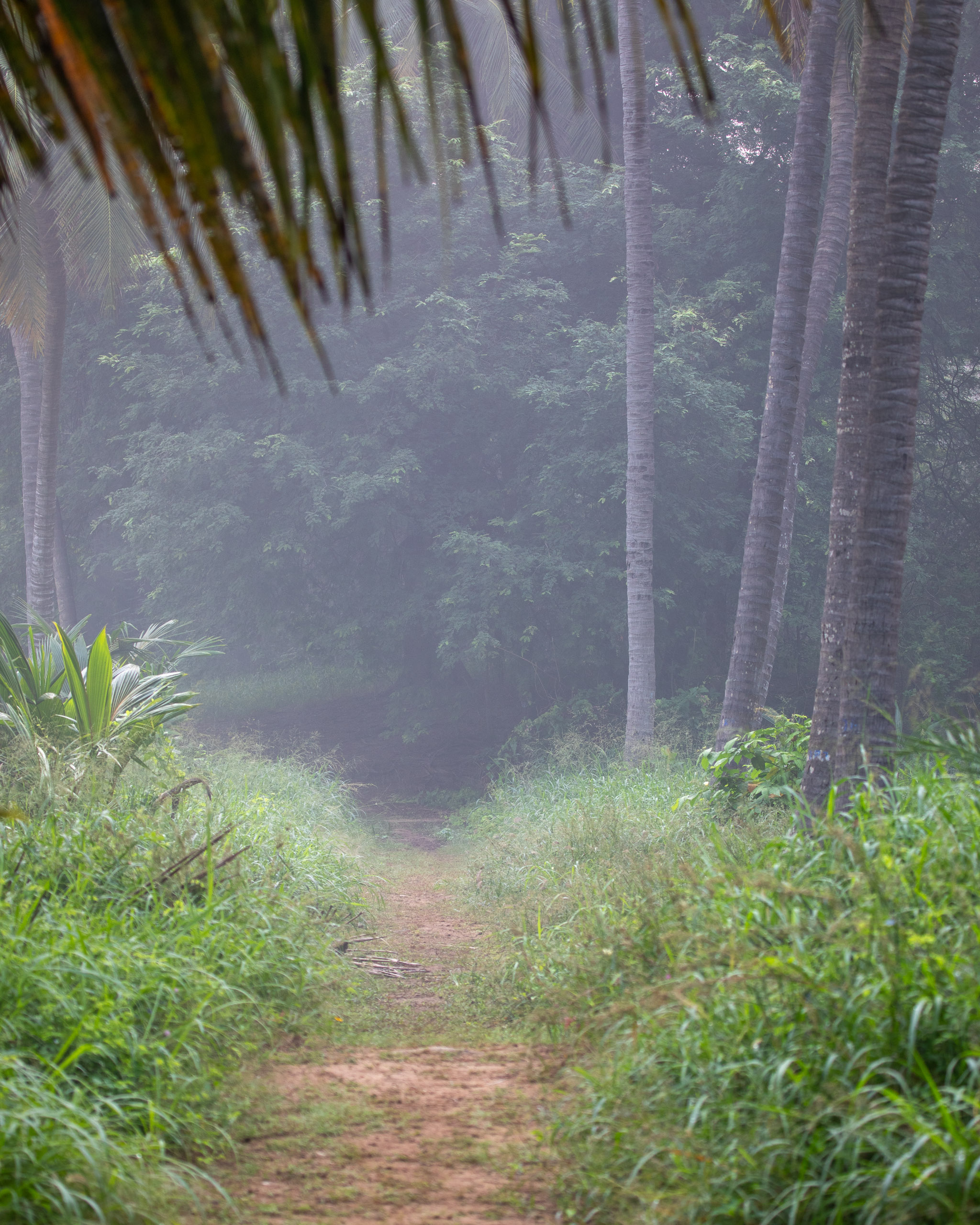 20240114083454 RD4 9696