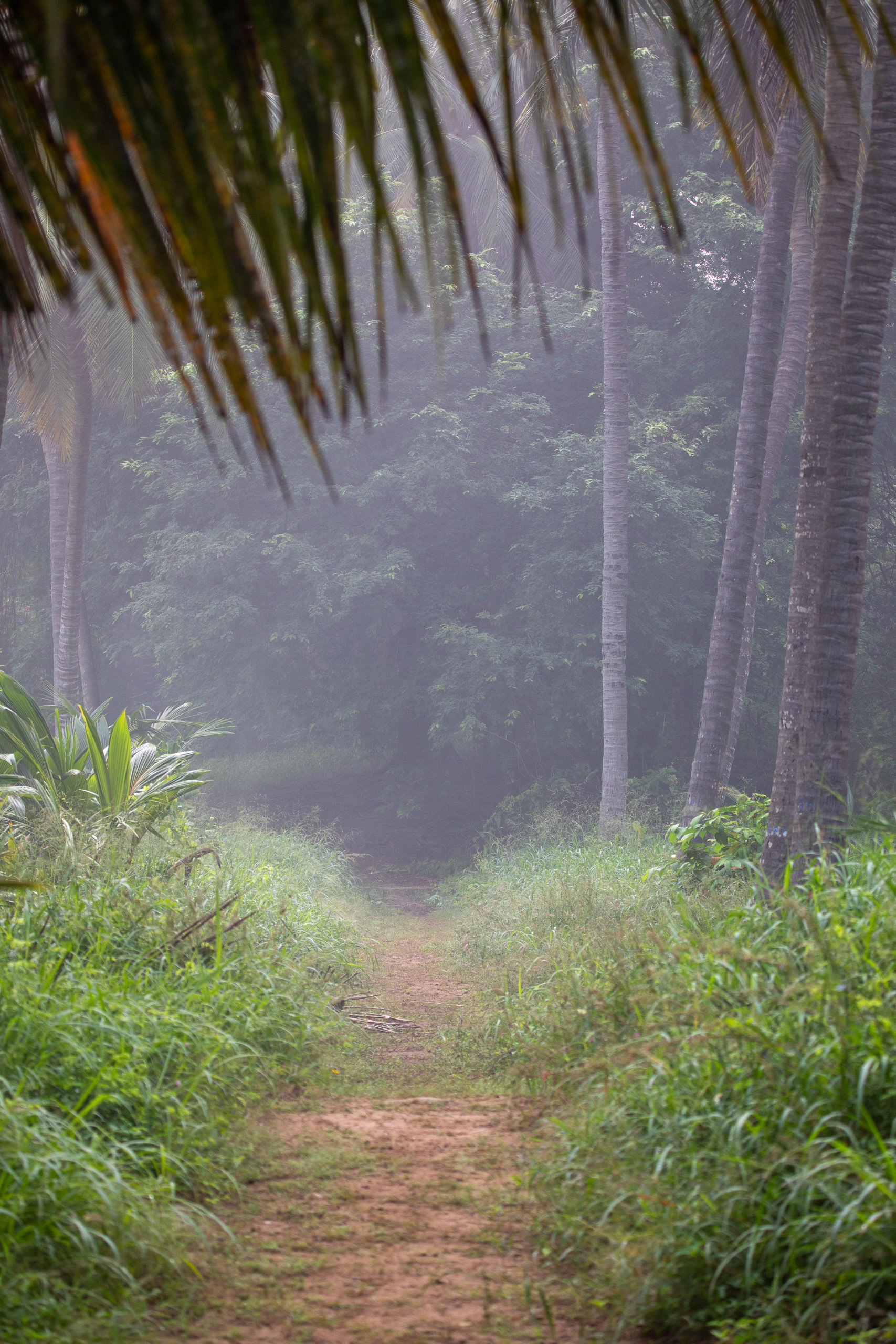 20240114083457 RD4 9697