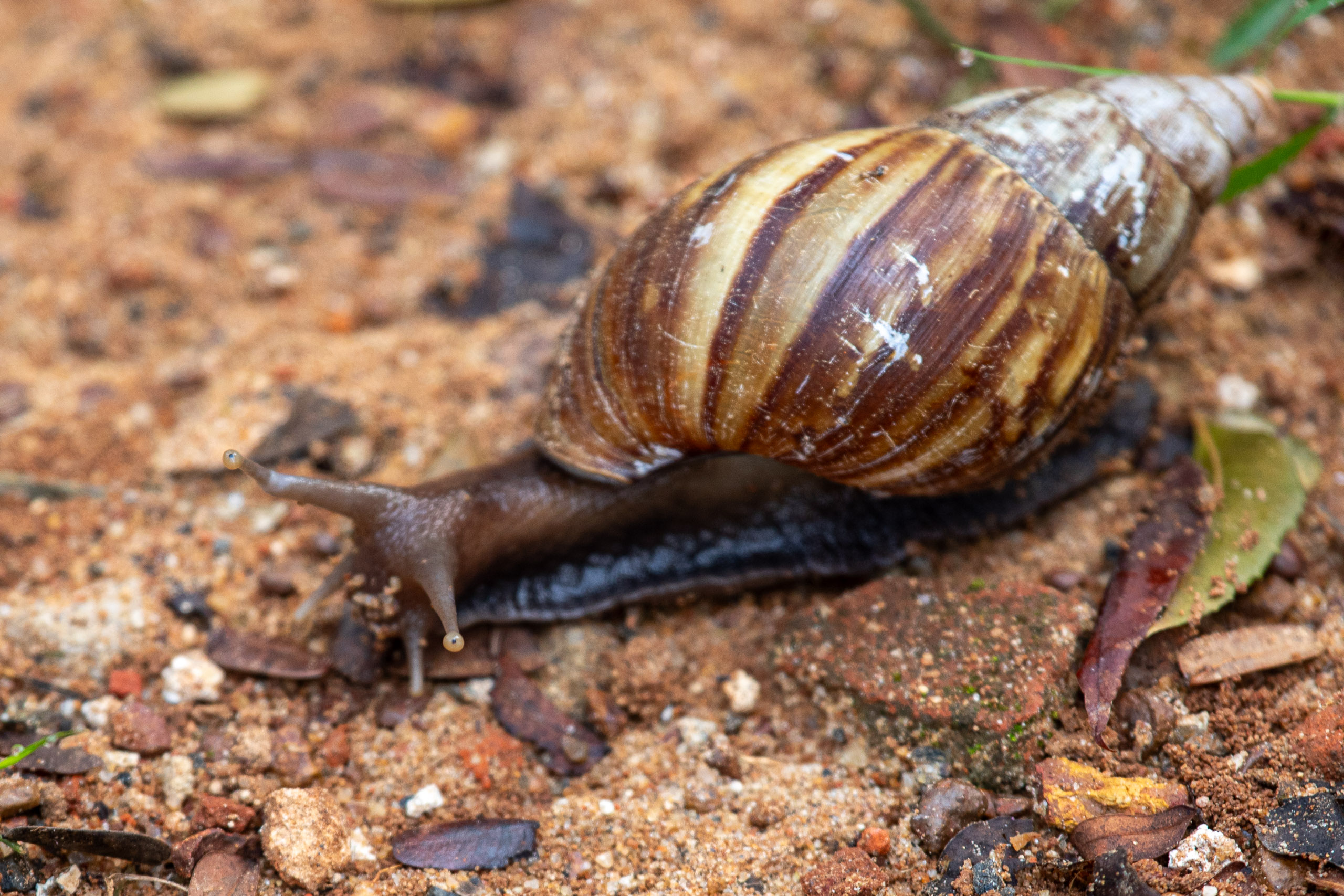 20240114083909 RD4 9709