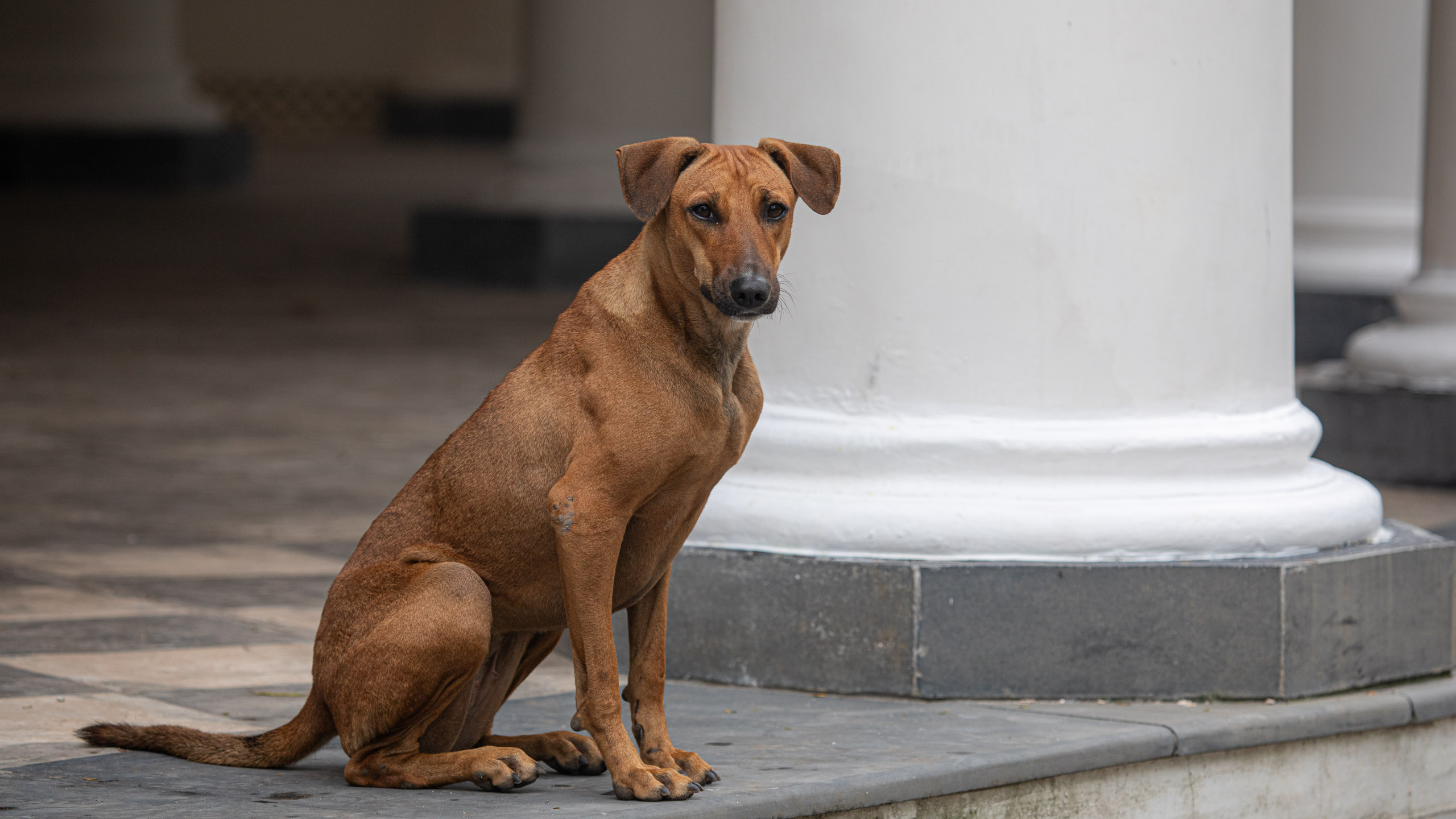 20240114083922 RD4 9721