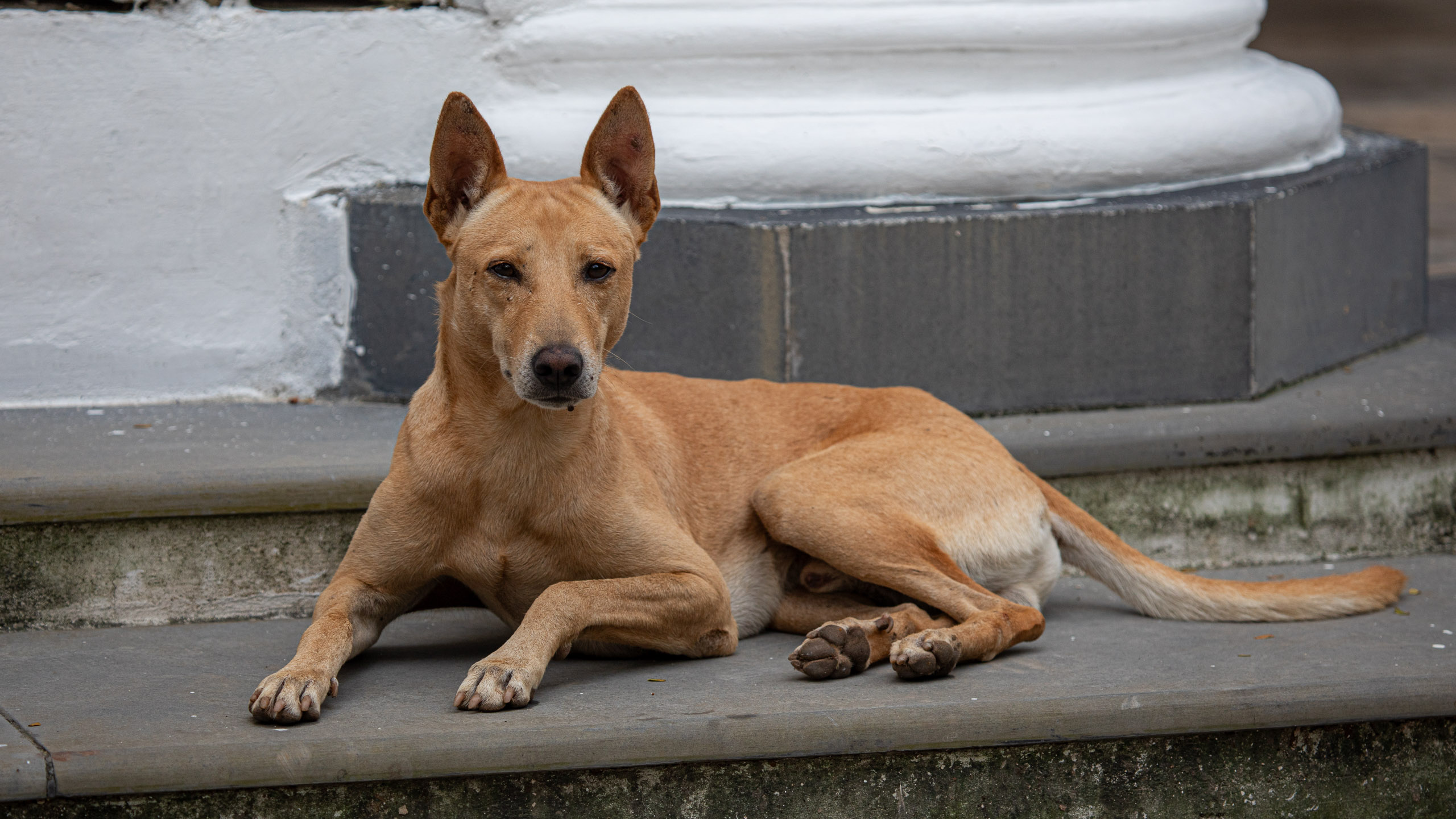 20240114083924 RD4 9723