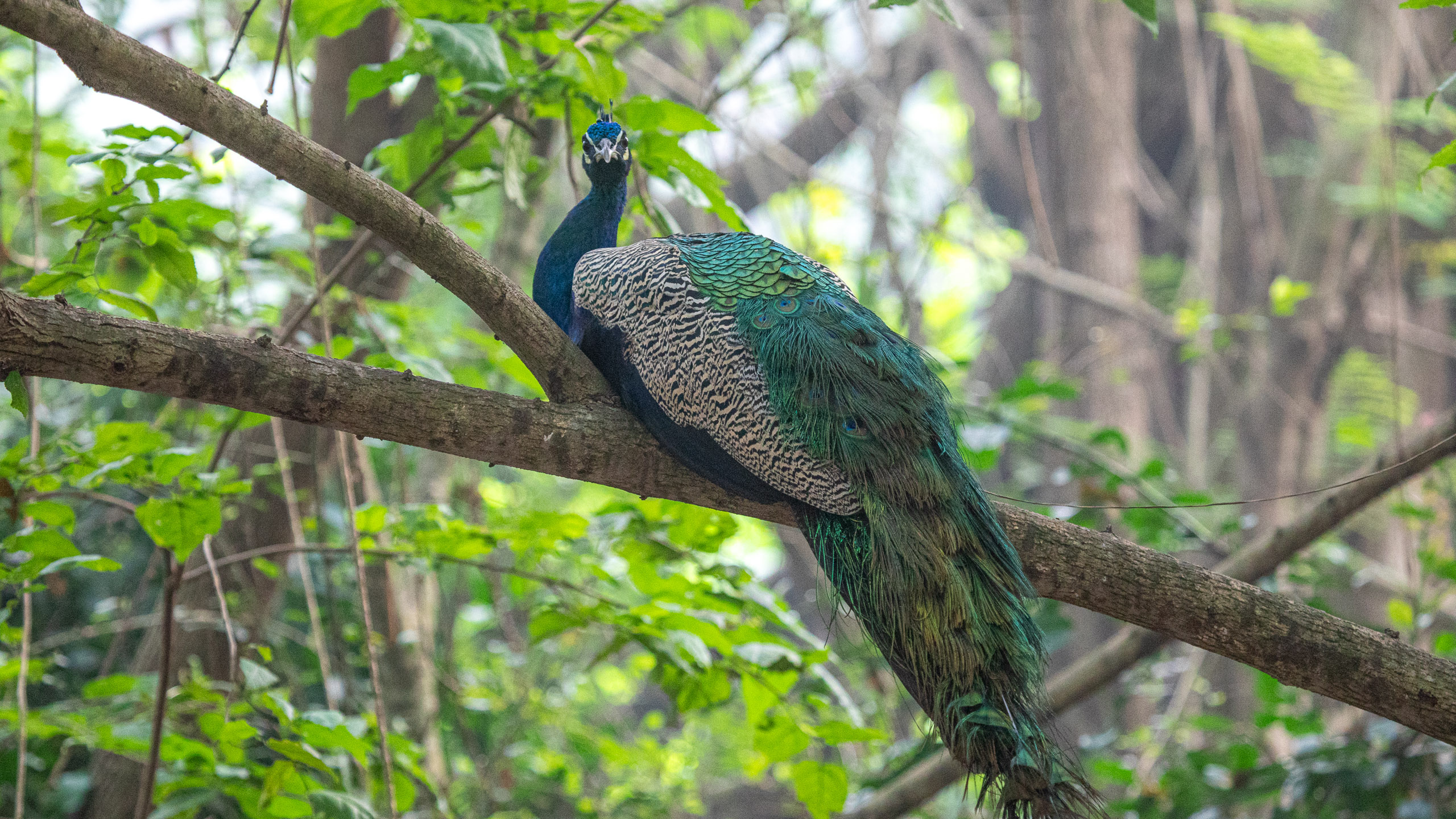 20240114084025 RD4 9731