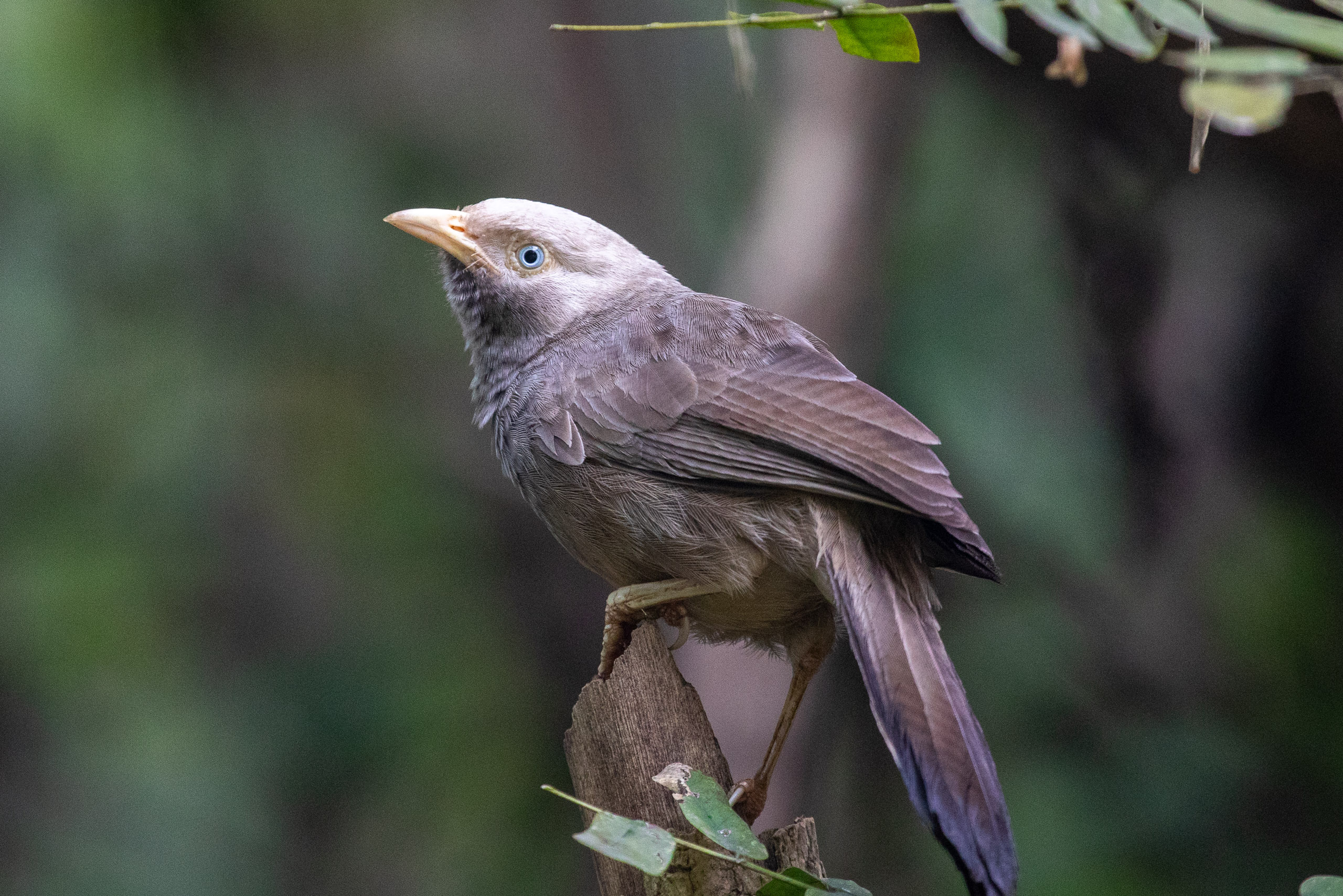 20240114084114 RD4 9746