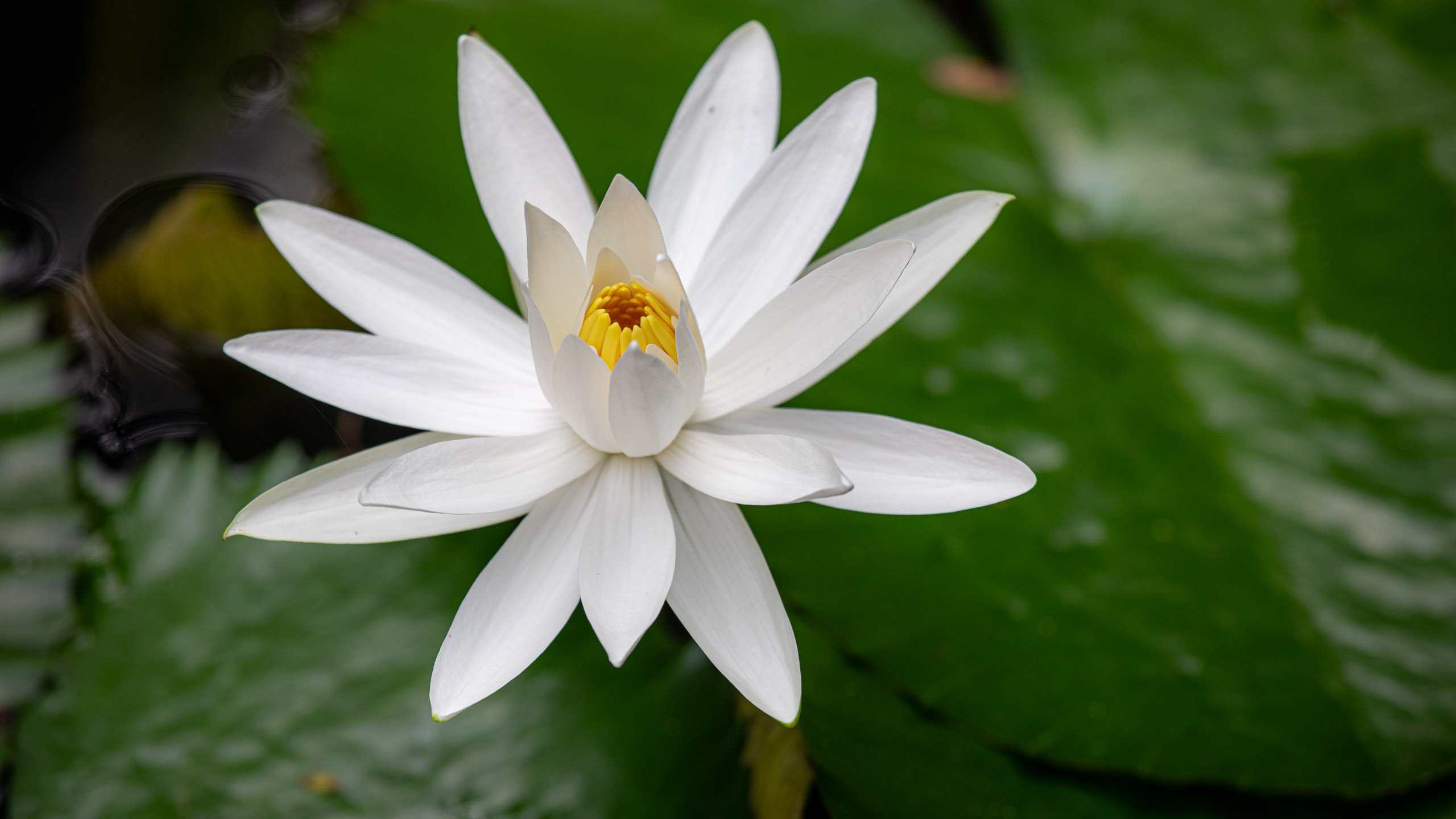 20240114095656 RD4 9754