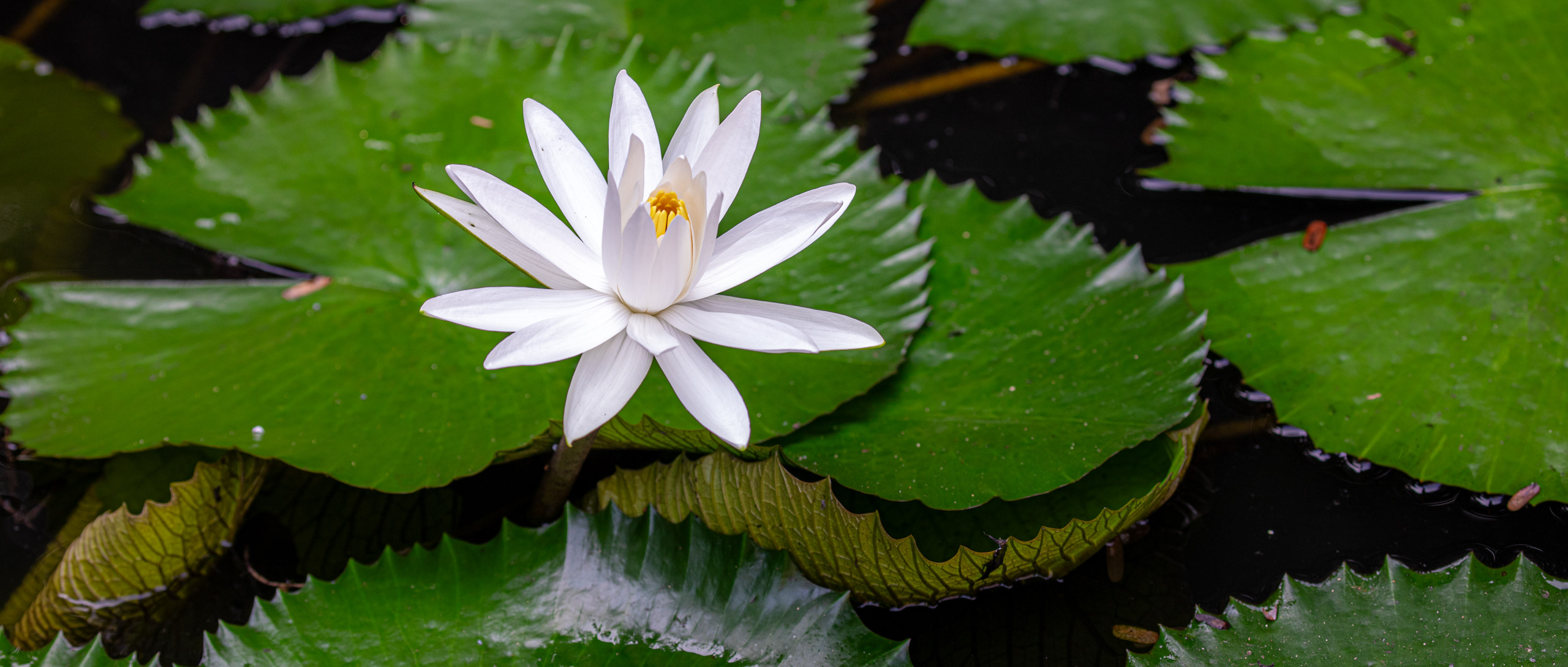 20240114095731 RD4 9764