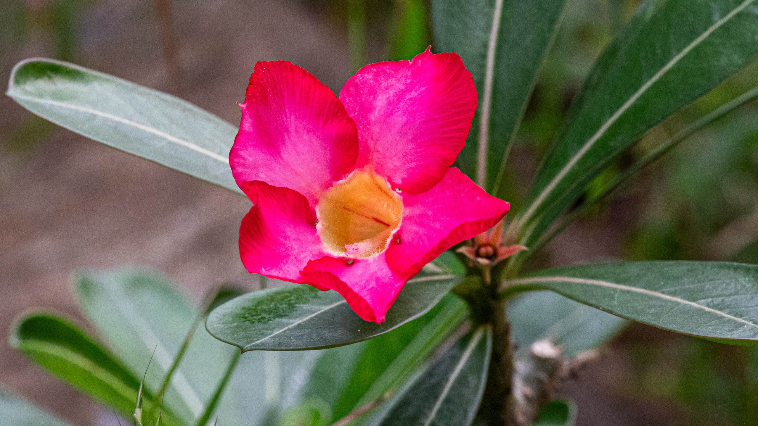 20240114100358 RD4 9779