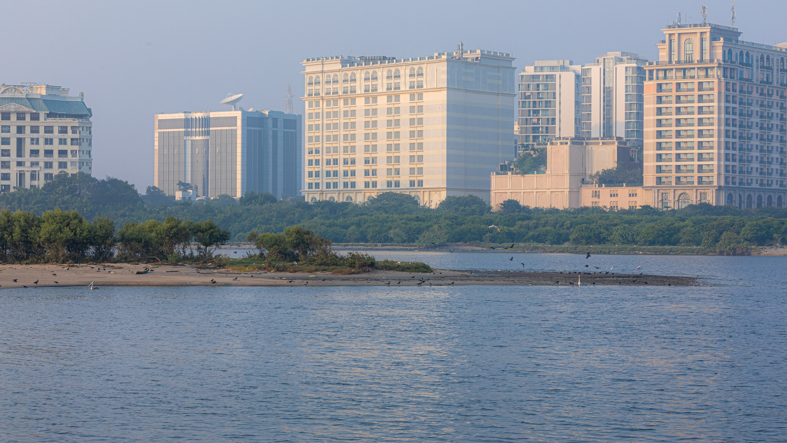 20240114170532 RD4 9790