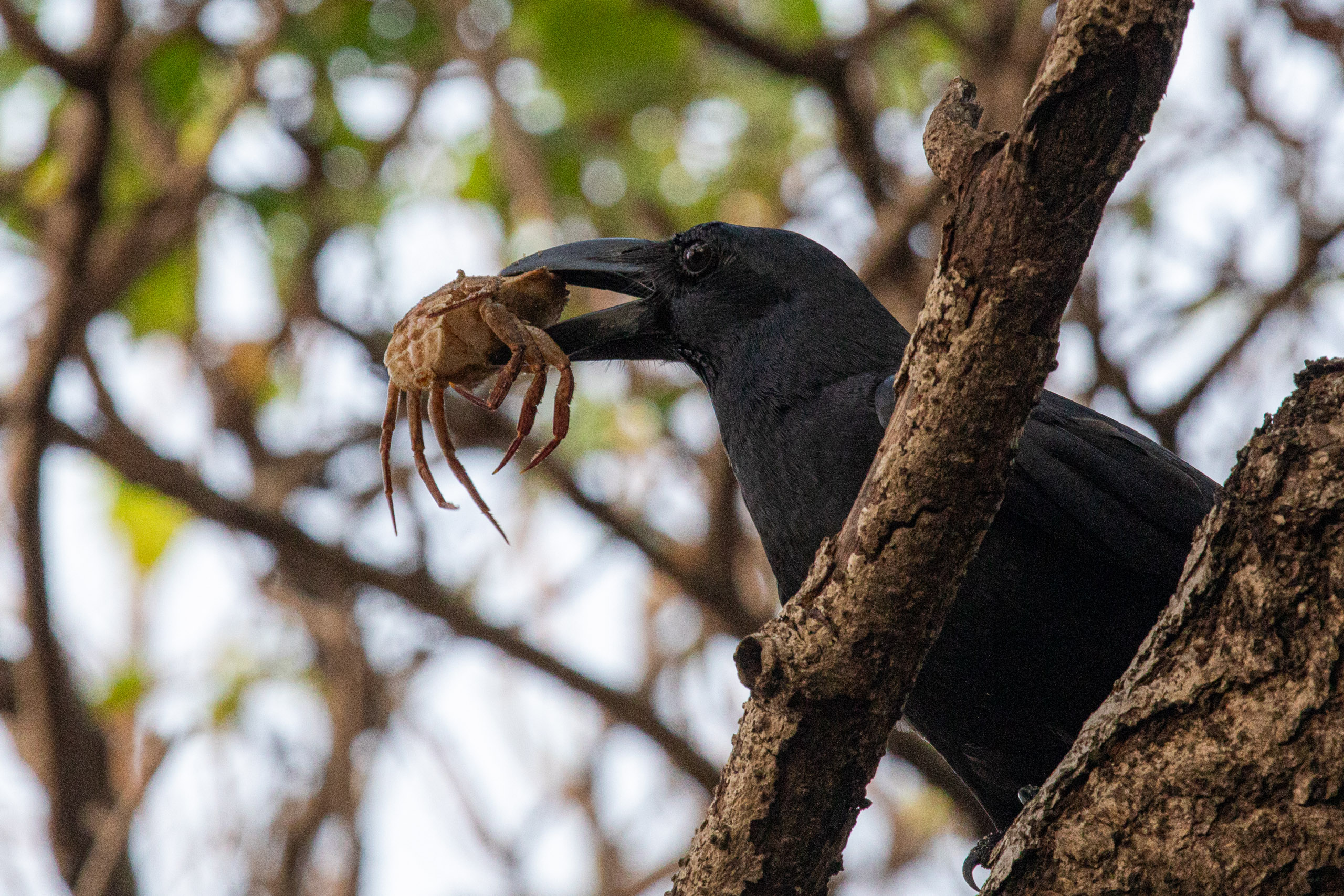 20240114170623 RD4 9793