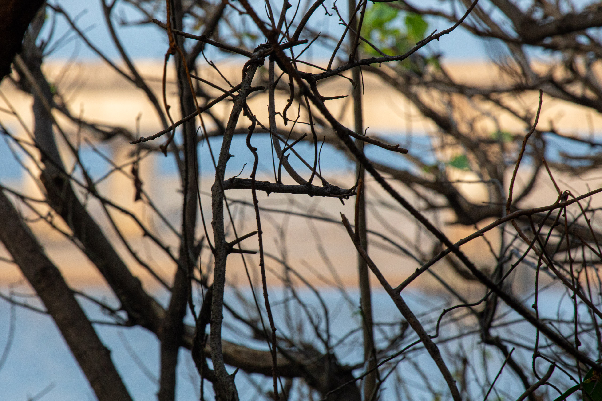 20240114170752 RD4 9798