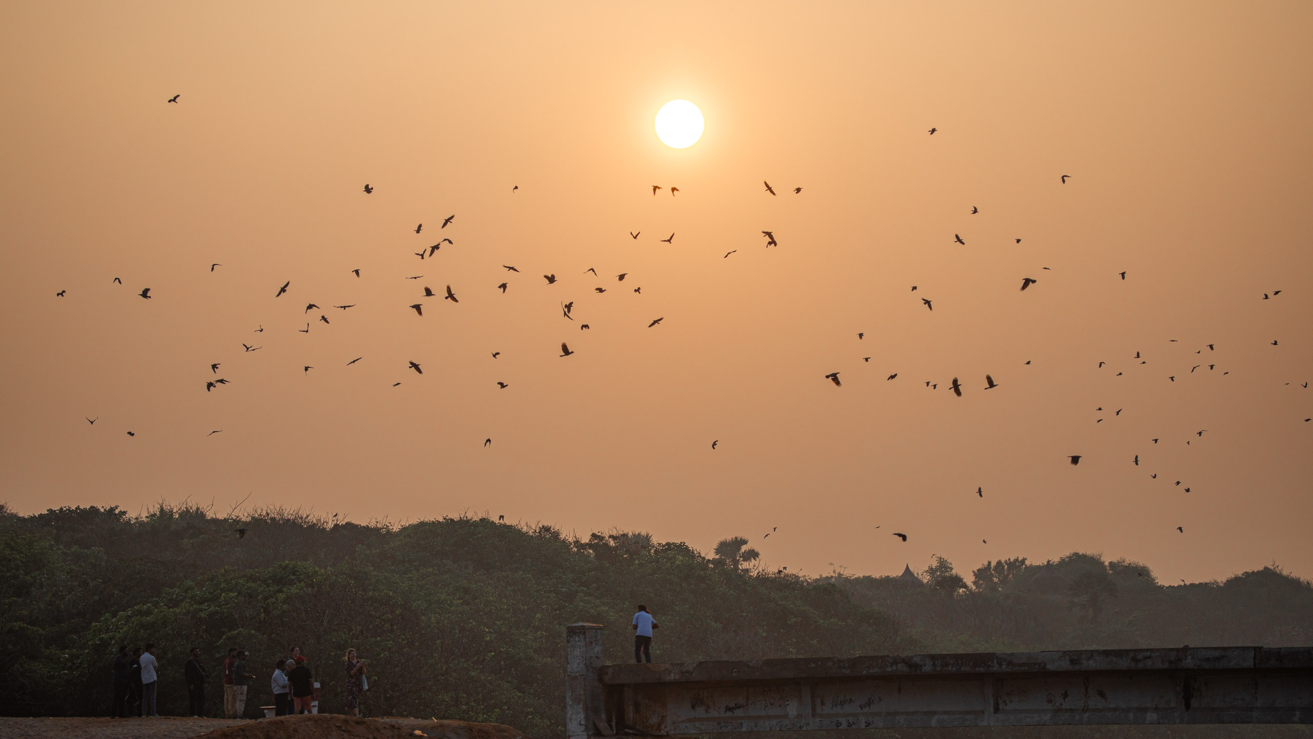 20240114172502 RD4 9903