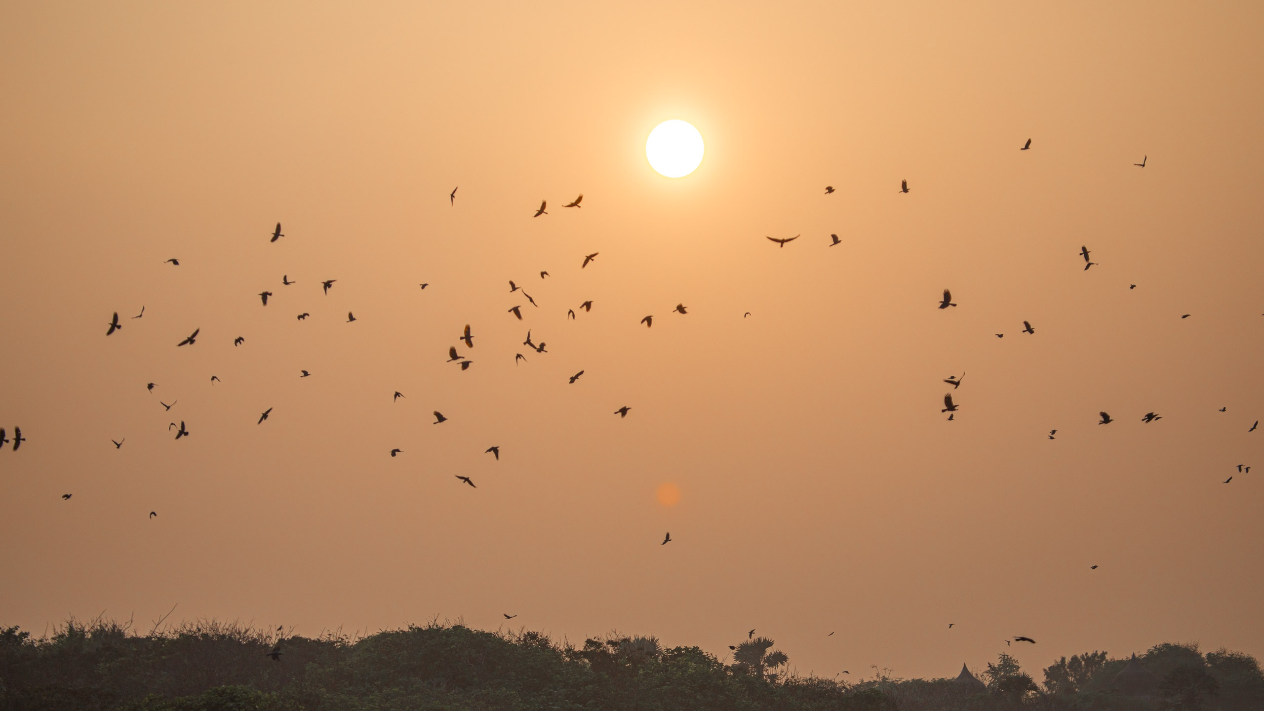 20240114172502 RD4 9904