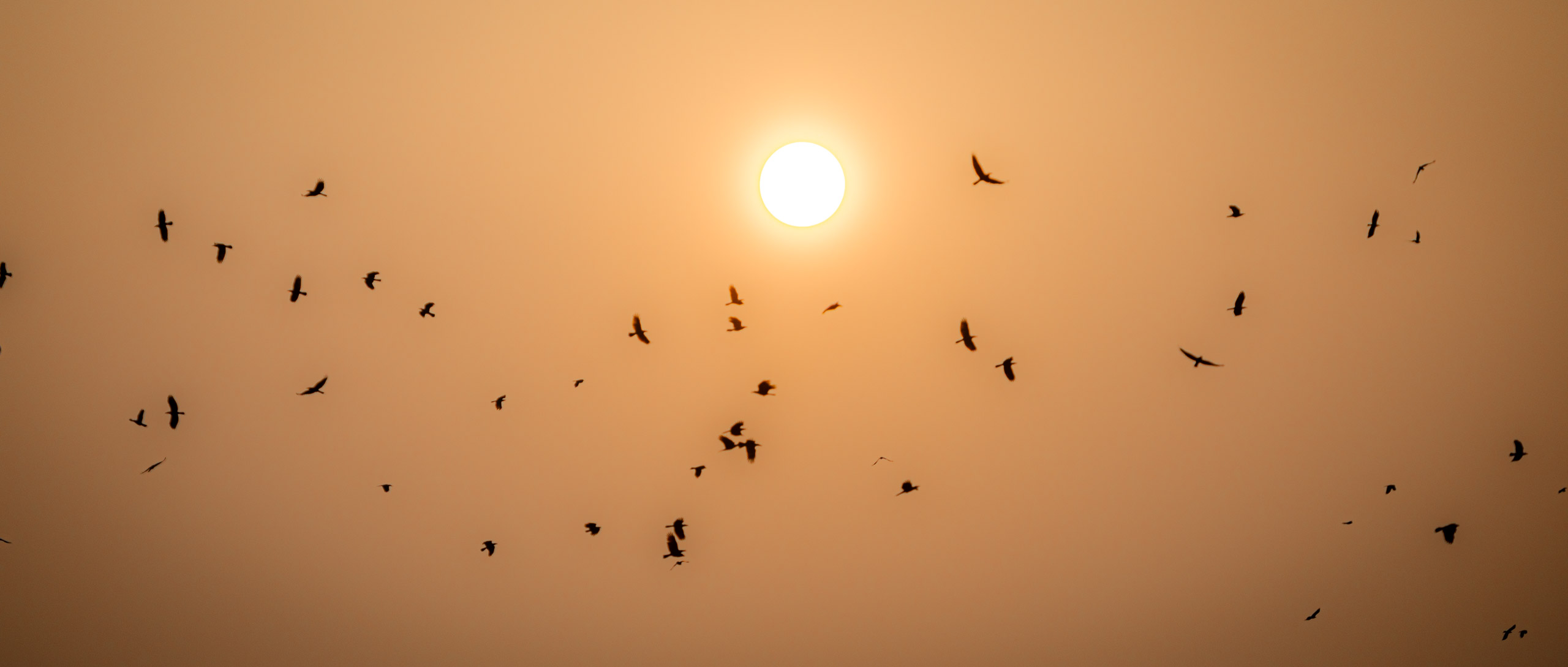 20240114172503 RD4 9906