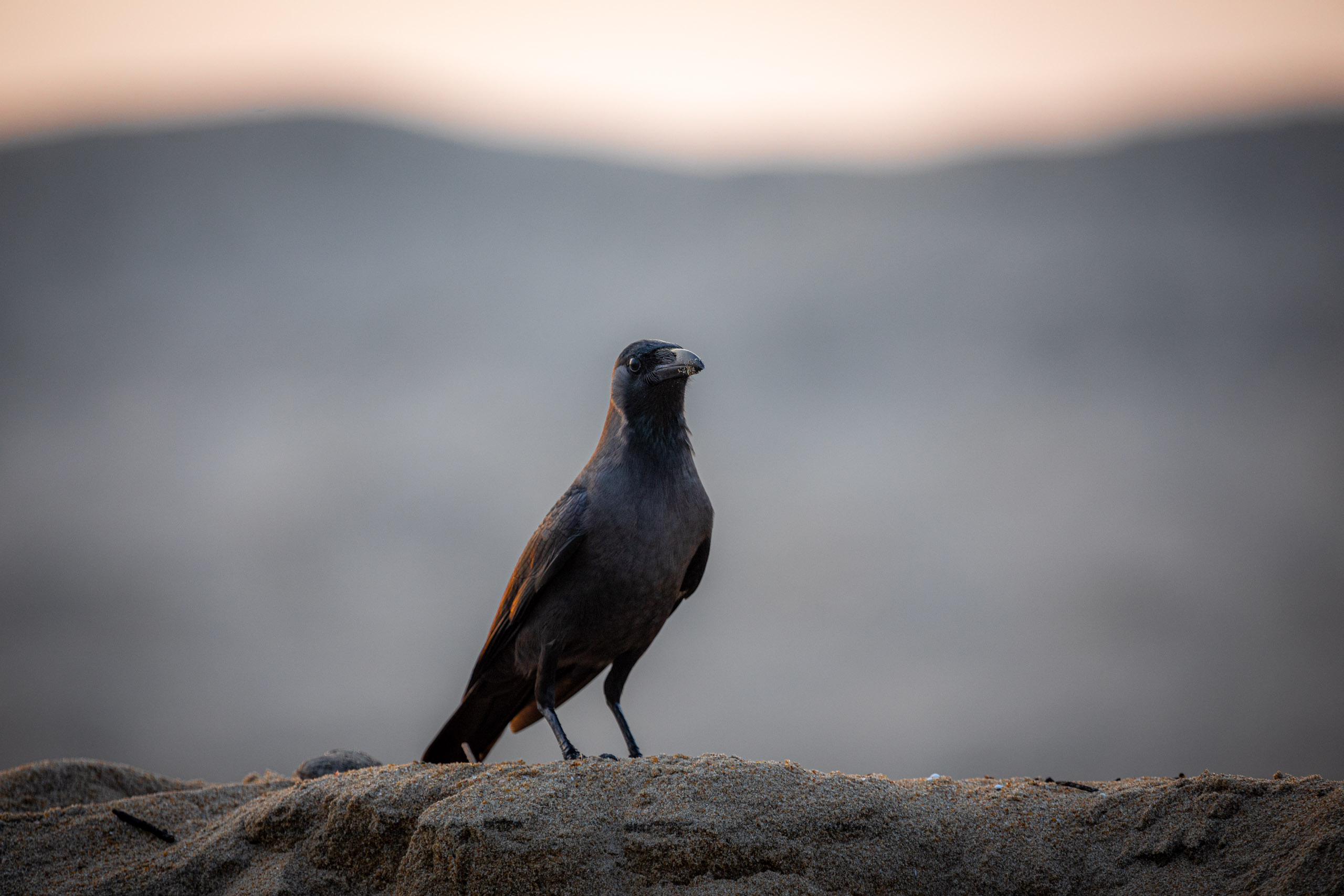 20240114172758 RD4 9938