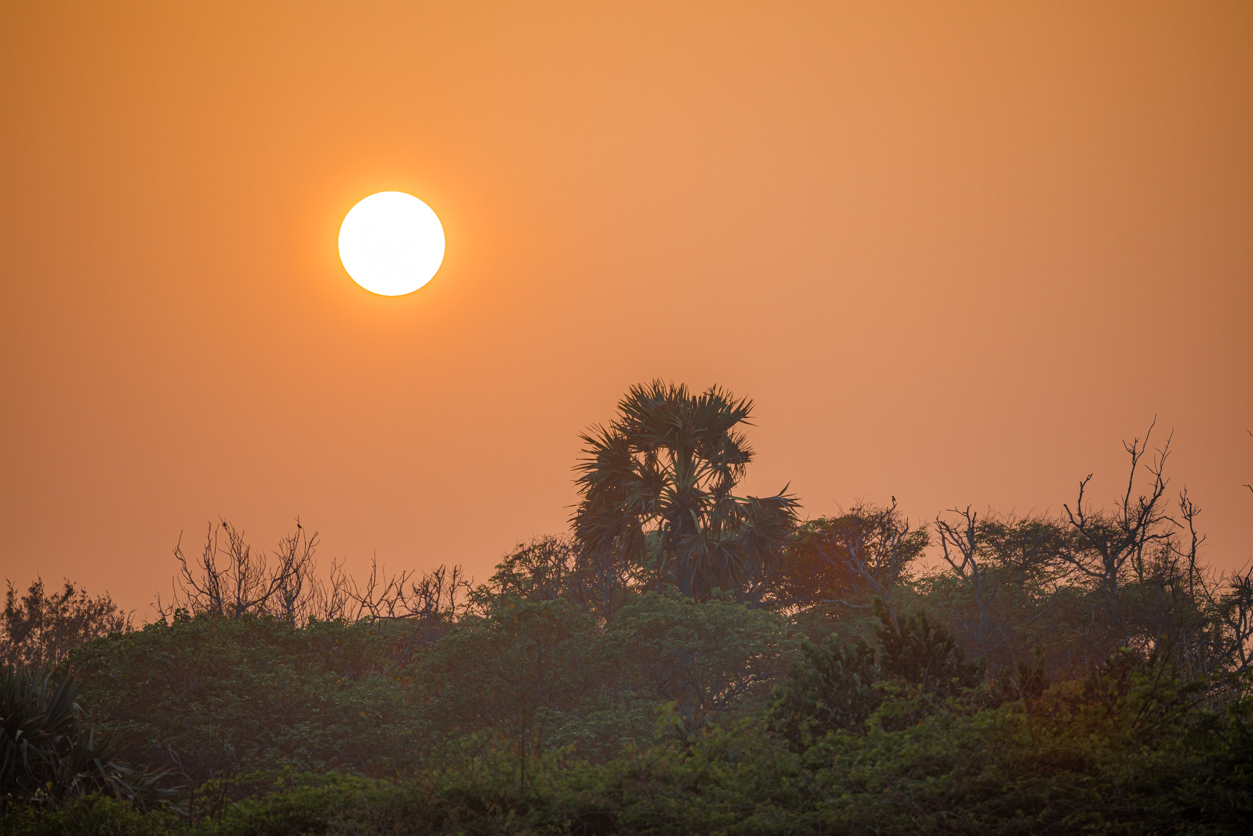 20240114173316 RD4 9967