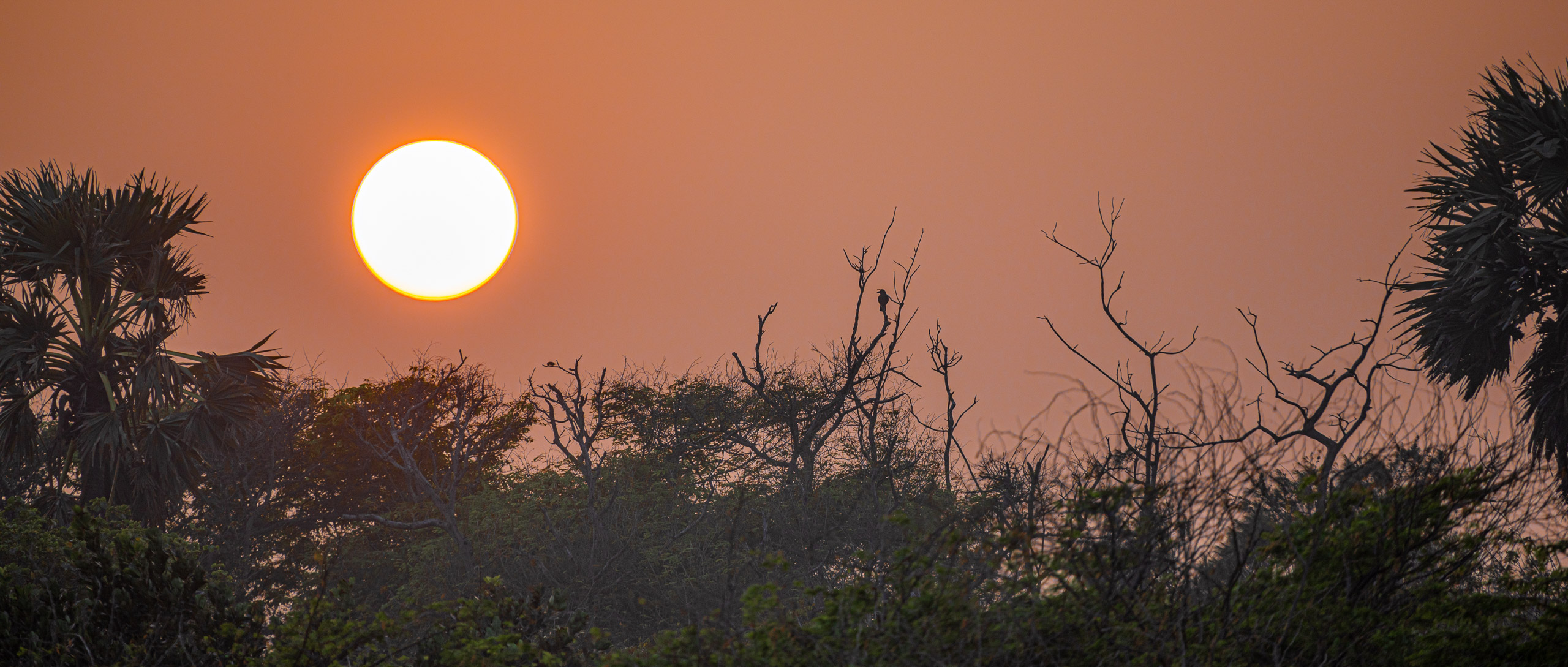 20240114173658 RD4 9991