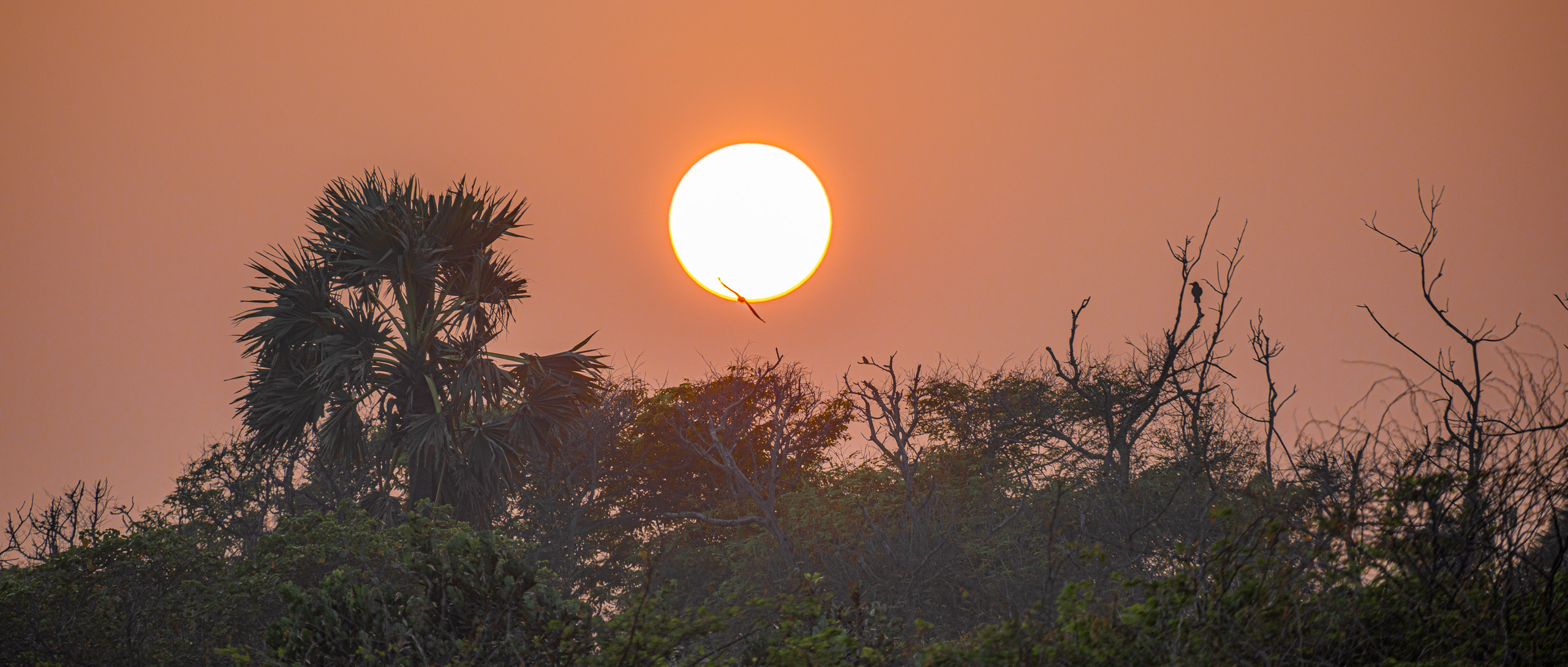 20240114173700 RD4 9993