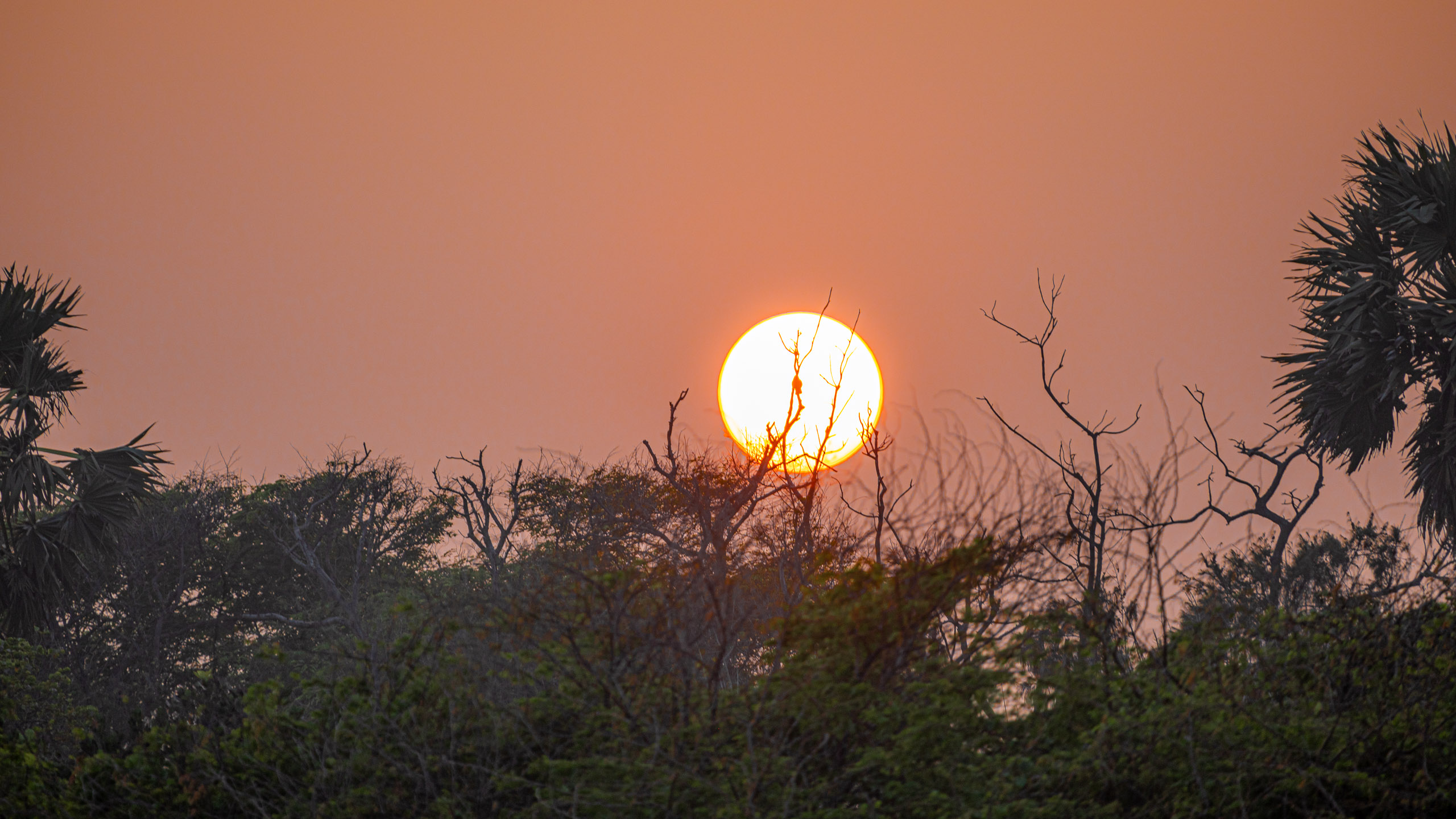 20240114173805 RD4 0031