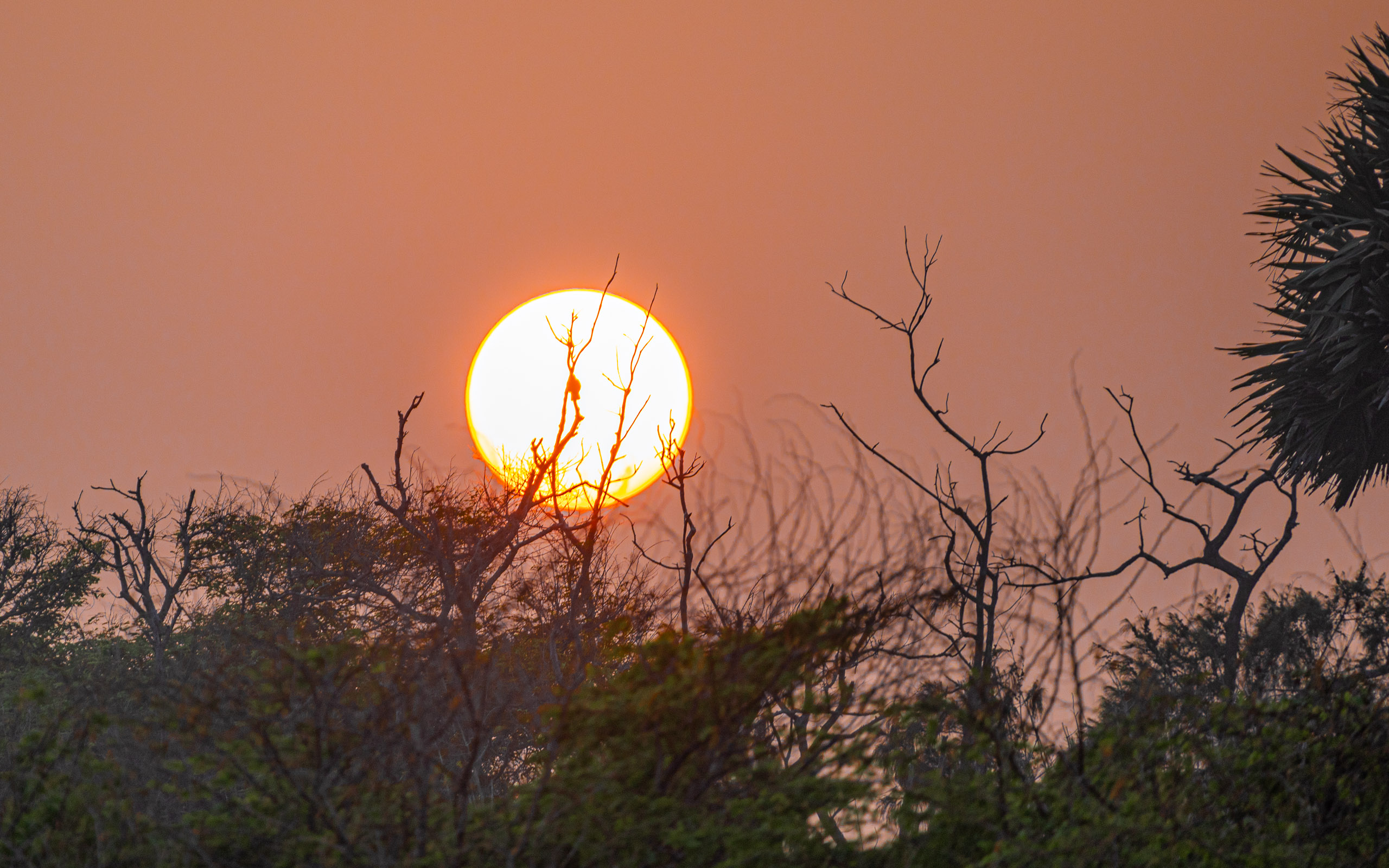 20240114173806 RD4 0033