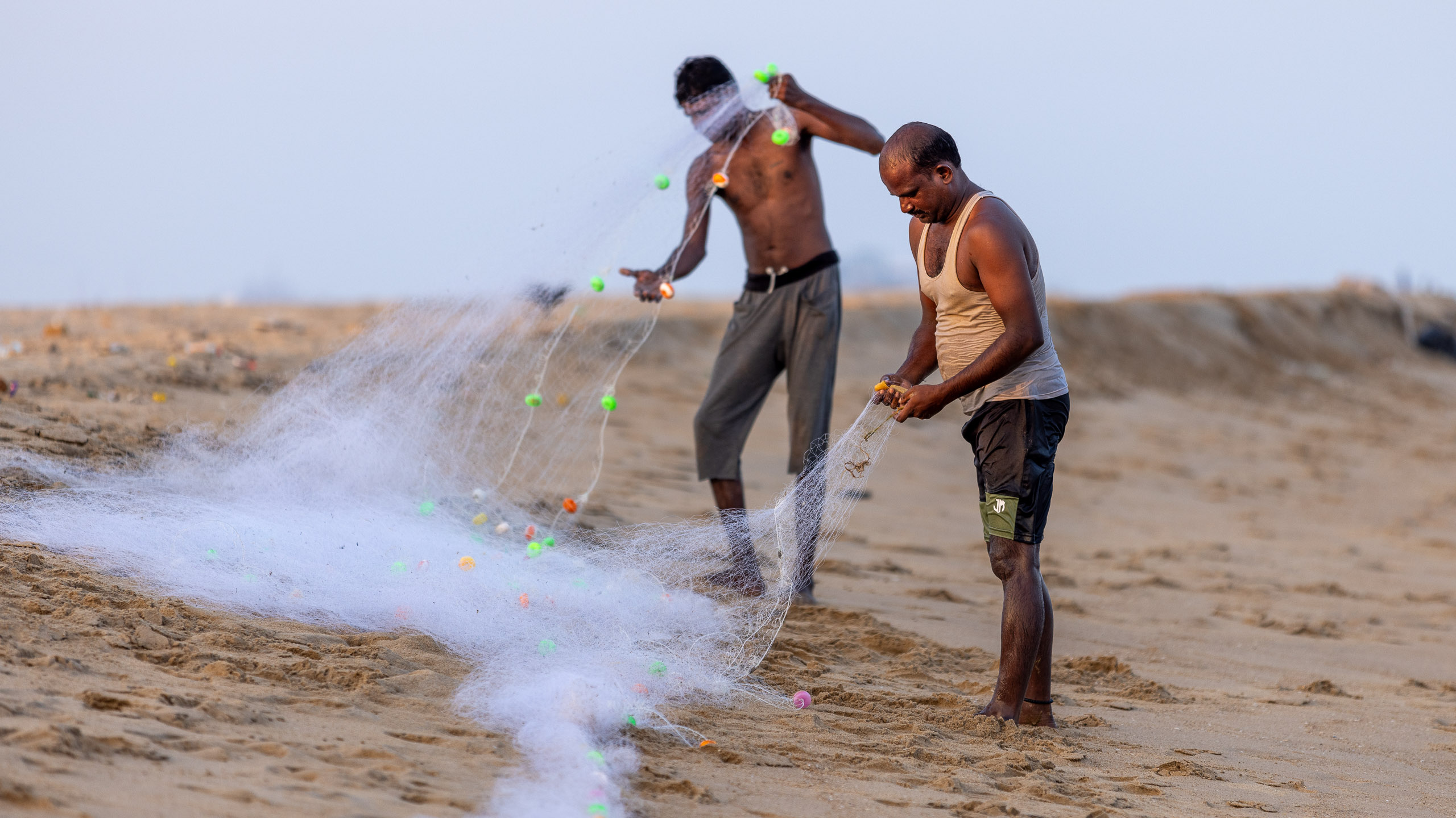 20240117173724 R5D 3142