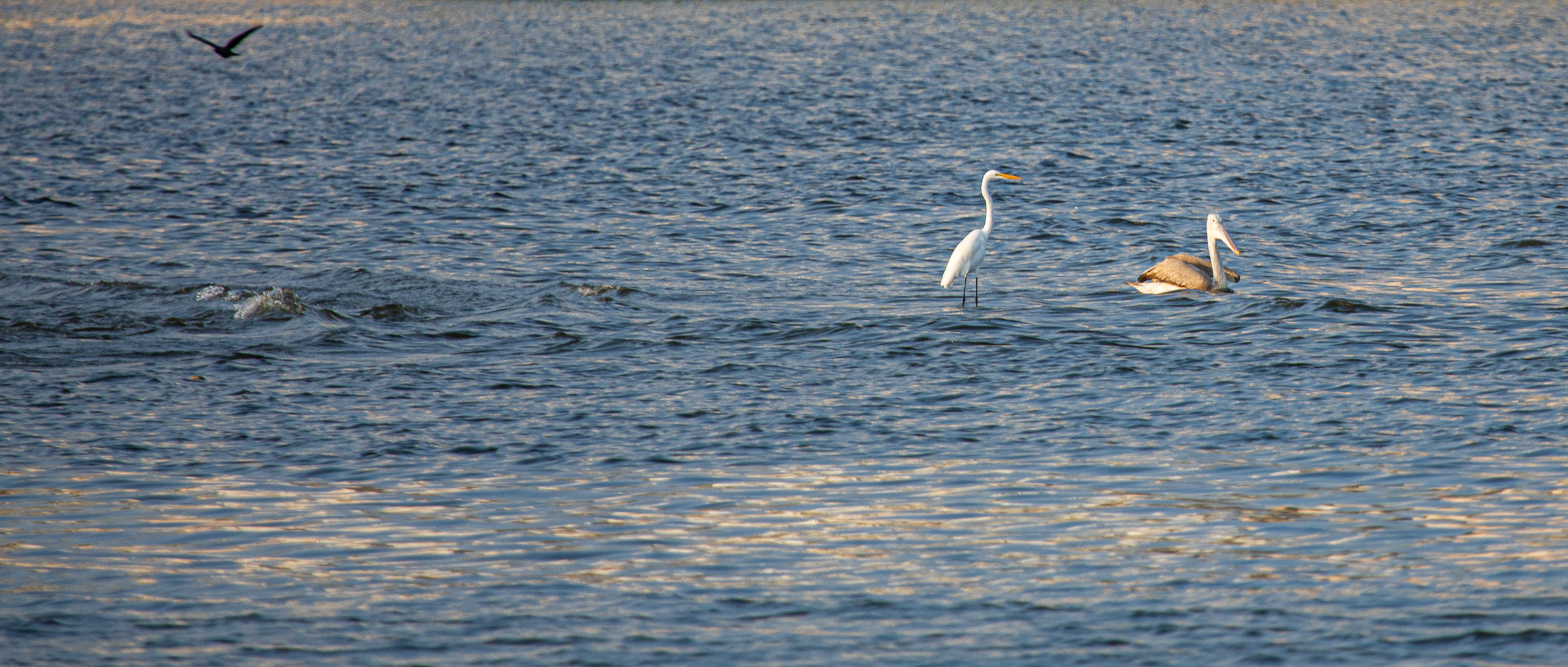 20240118170819 RD4 0970