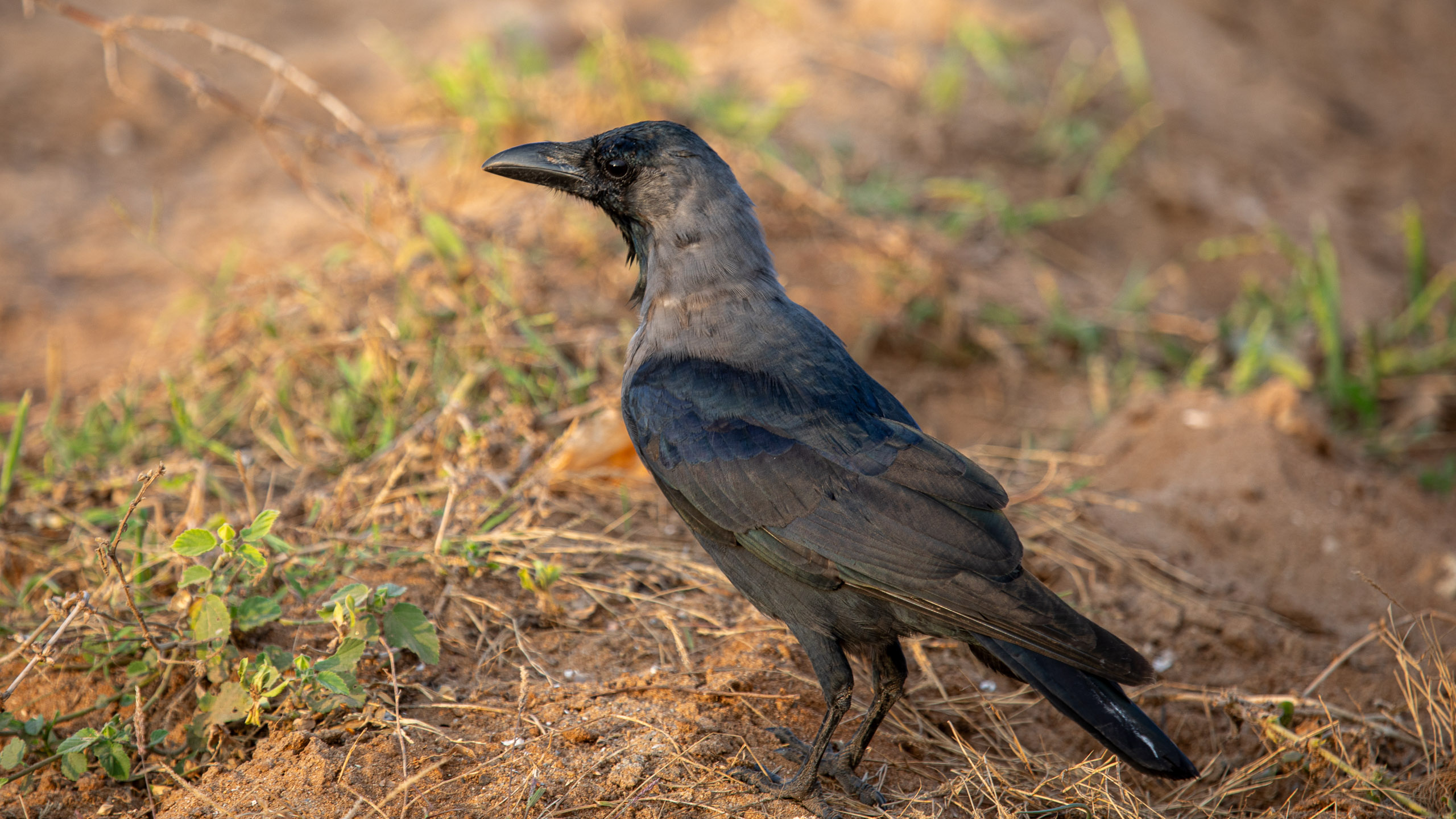 20240118171330 RD4 0978