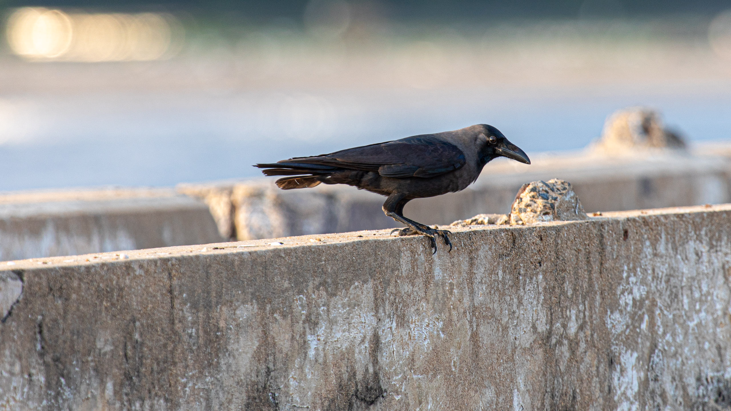 20240118171714 RD4 1003