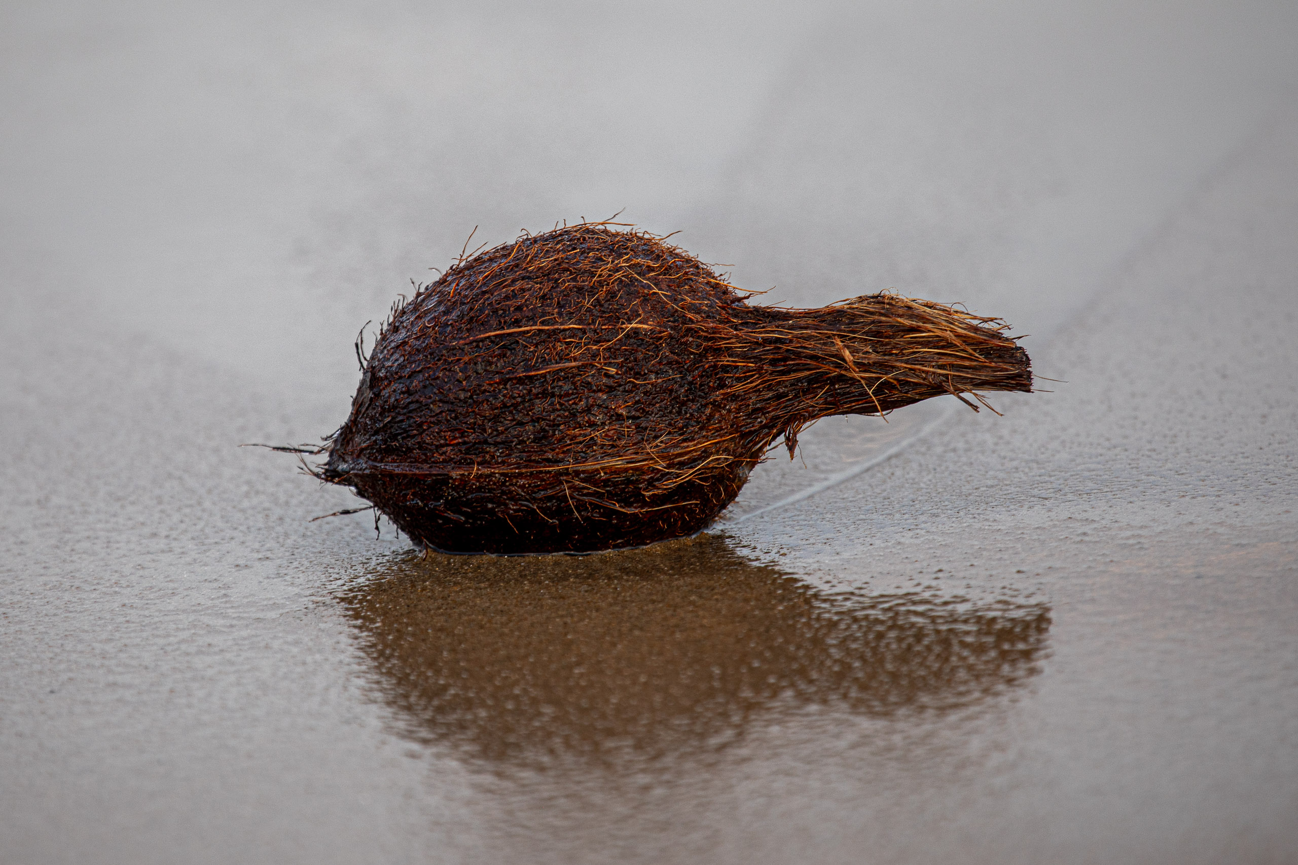 20240118172114 RD4 1042