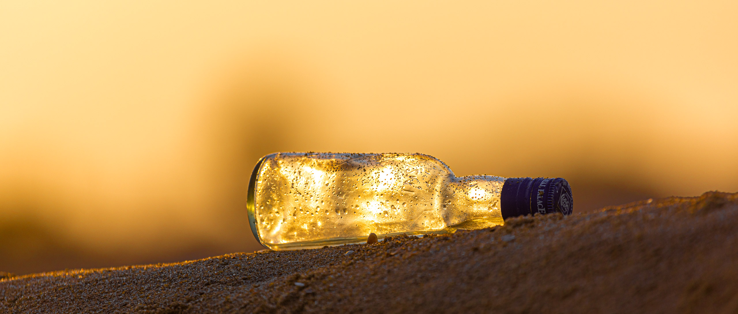 20240118172258 RD4 1053