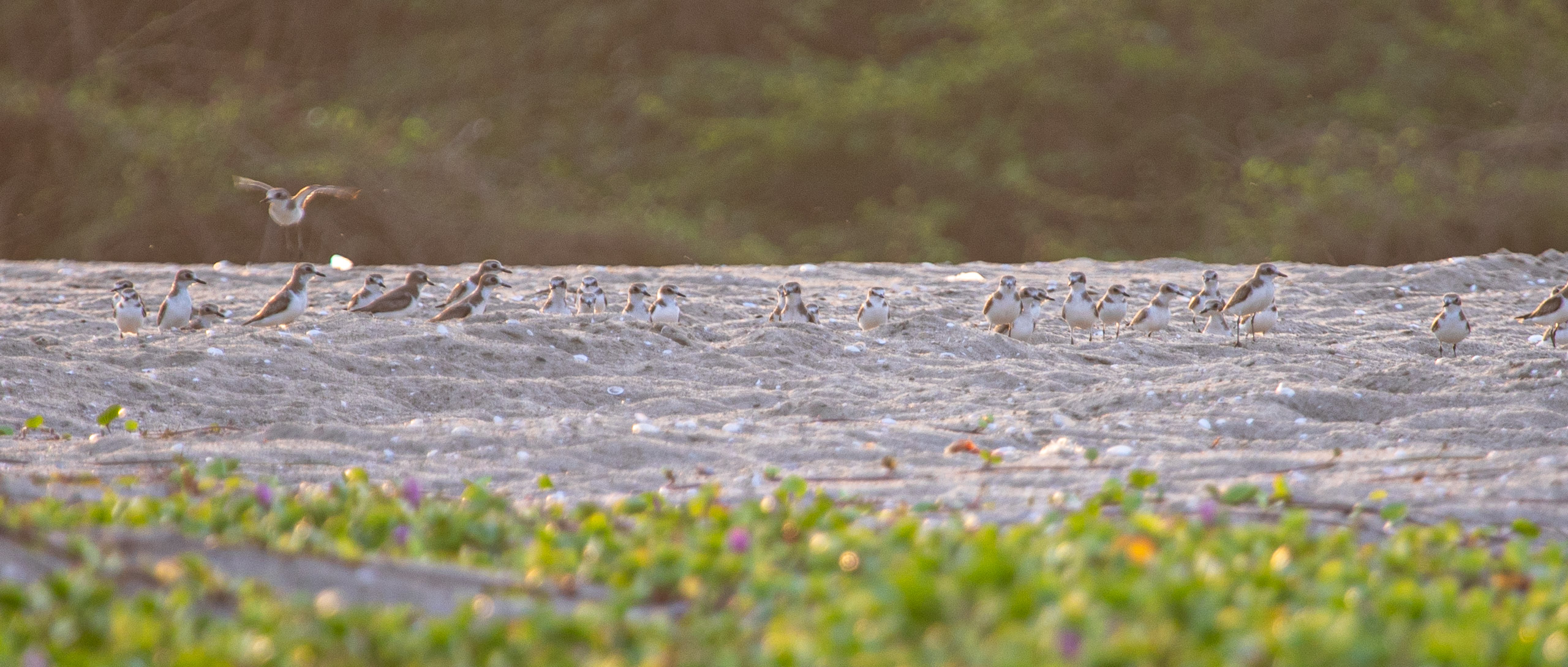 20240118172759 RD4 1088