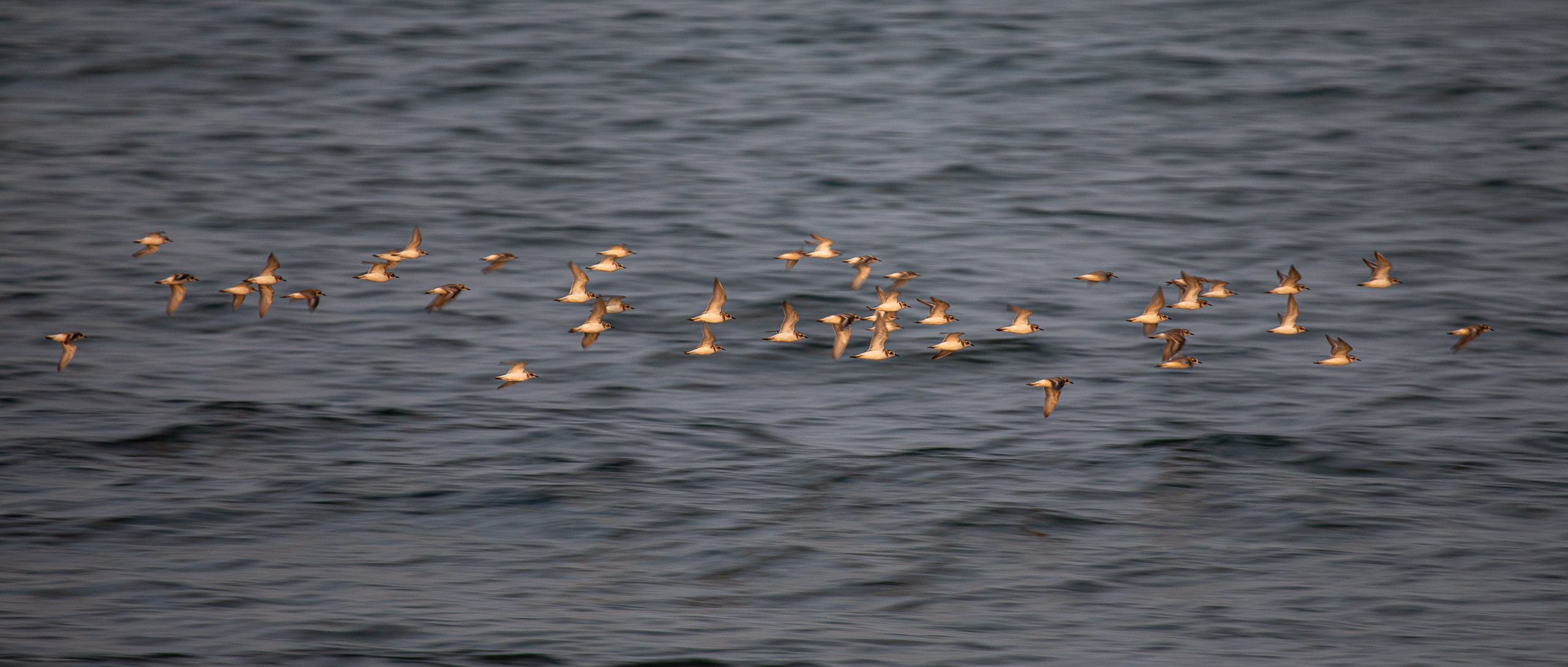 20240118173552 RD4 1145